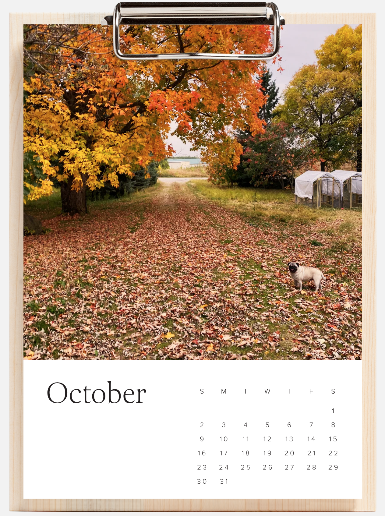 Screen Shot 2025-11-12 at 1.03.49 PM.png