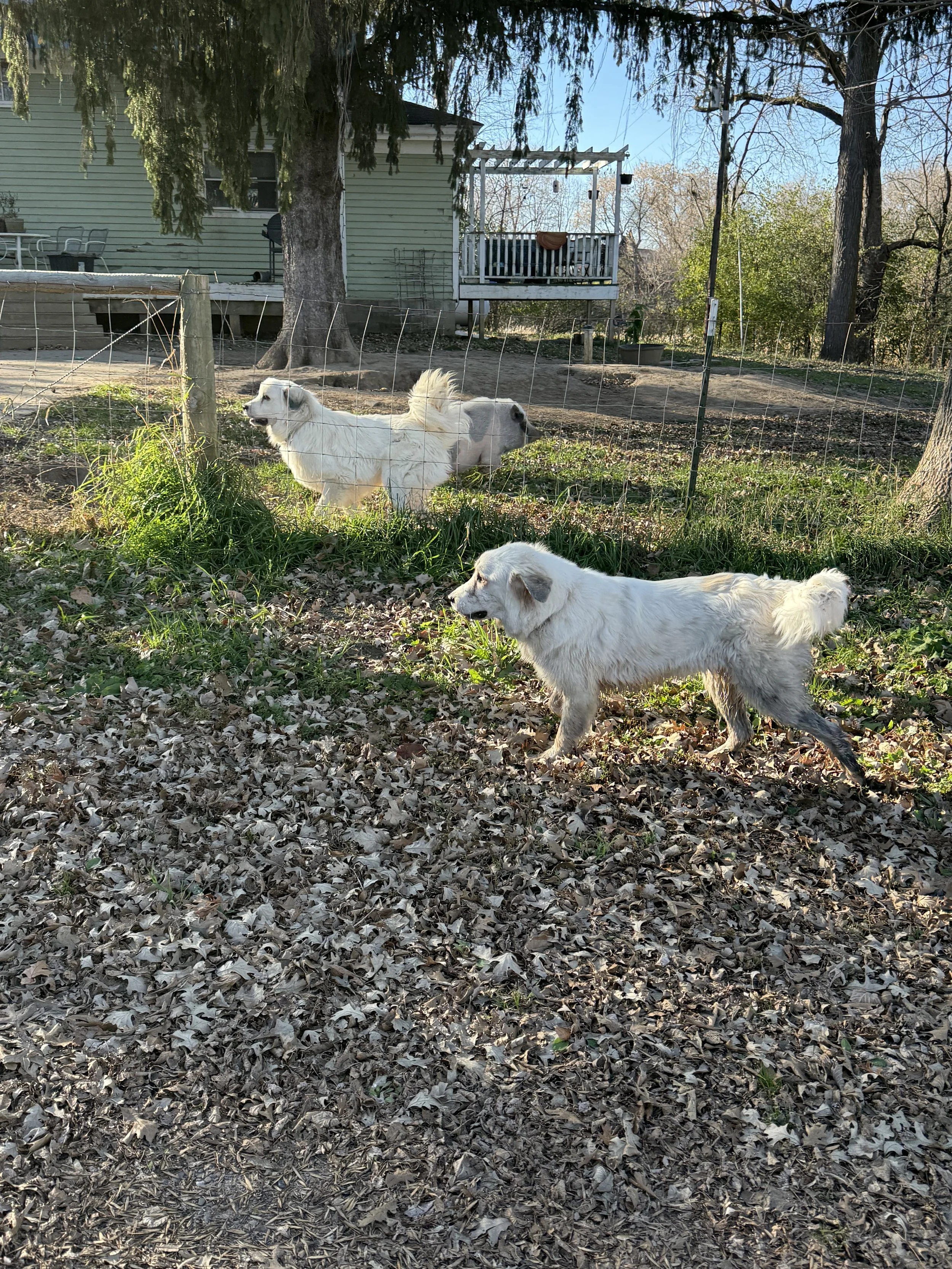 November Volunteer Day