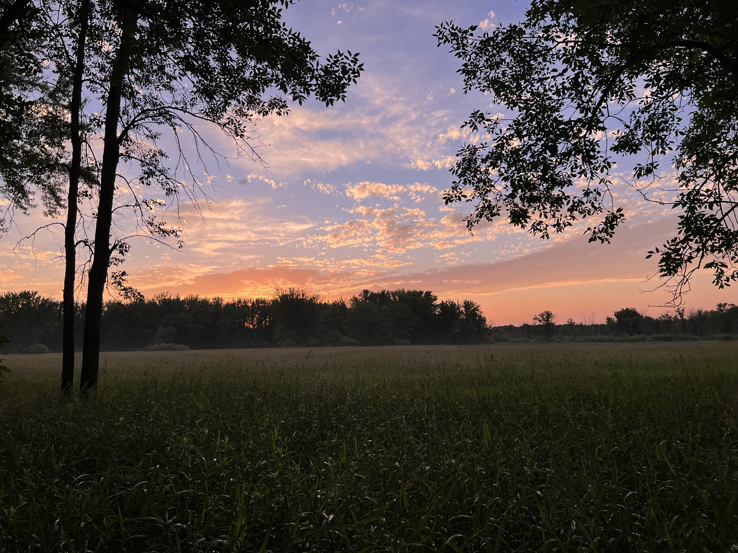 July Volunteer Day