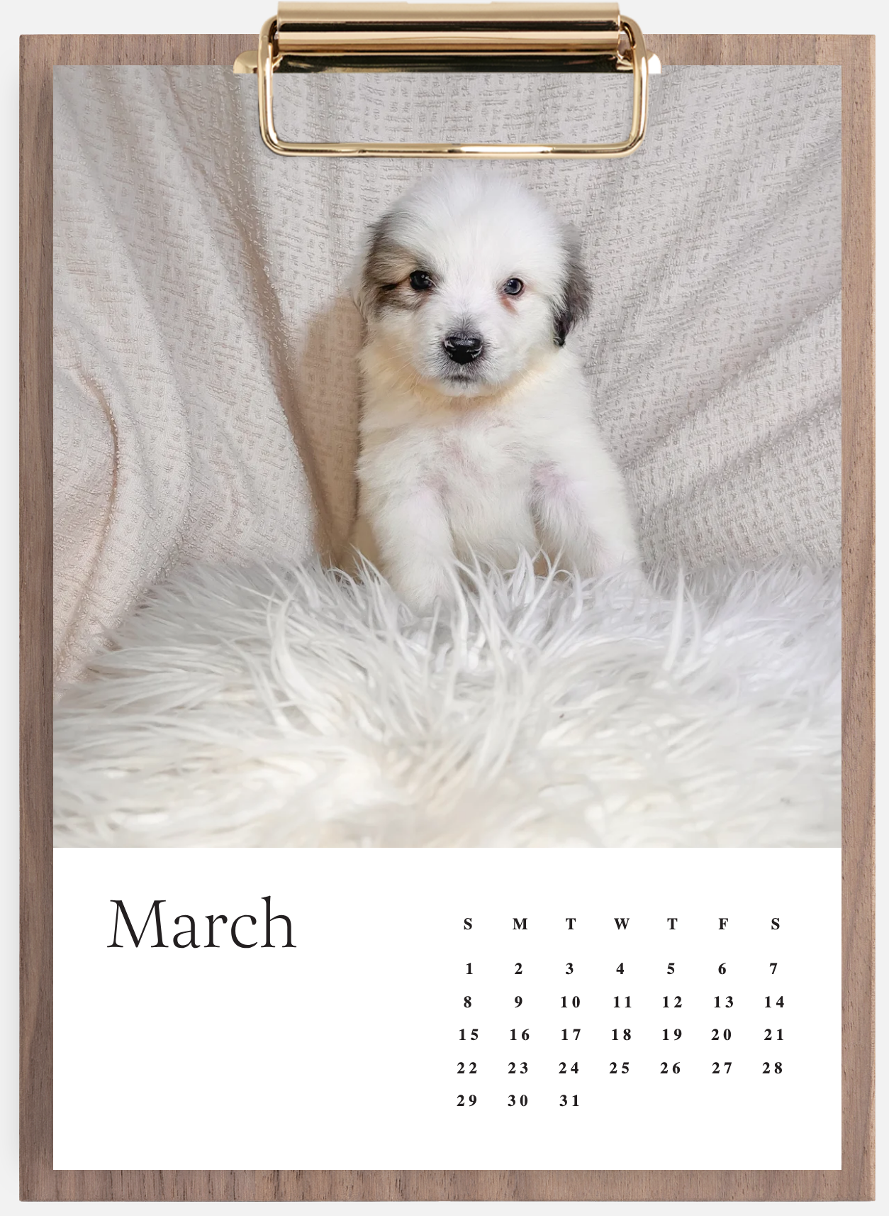 Screen Shot 2026-01-14 at 3.26.49 PM.png