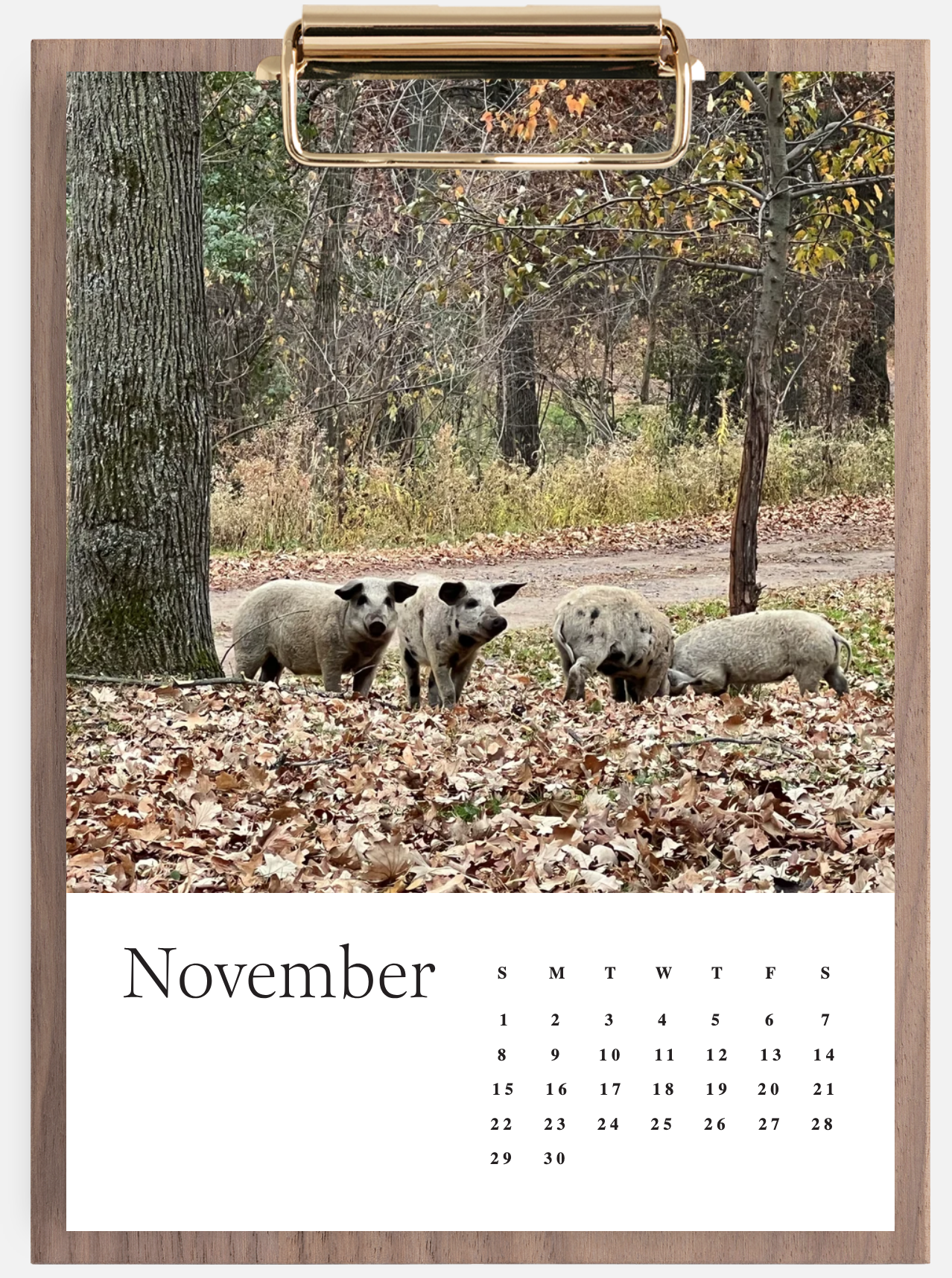 Screen Shot 2026-01-14 at 3.27.15 PM.png