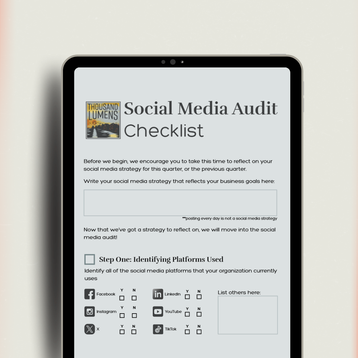 Social media audit self checklist preview
