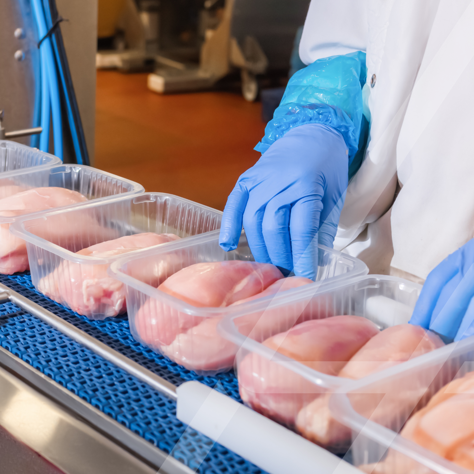 Comment Gestion de Personnel Alliance Optimise Votre Main‑d’Œuvre en Entrepôt et en Production Alimentaire — Sans les Tracas Administratifs