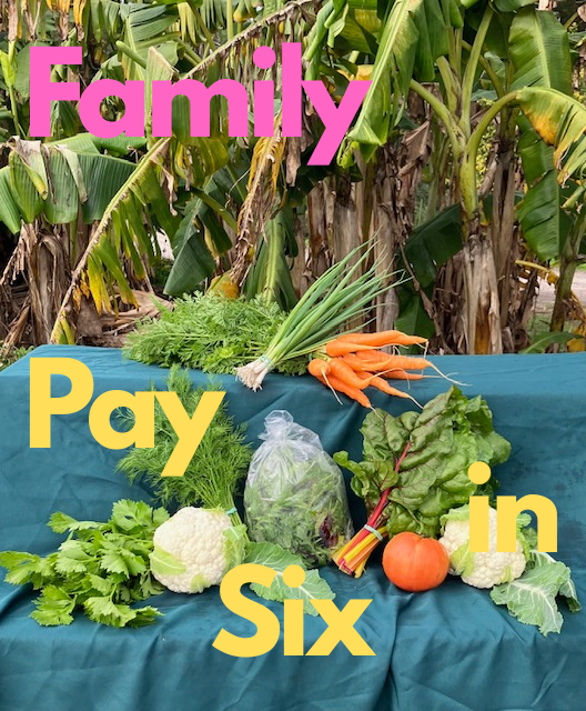 Family Pay in Six.png