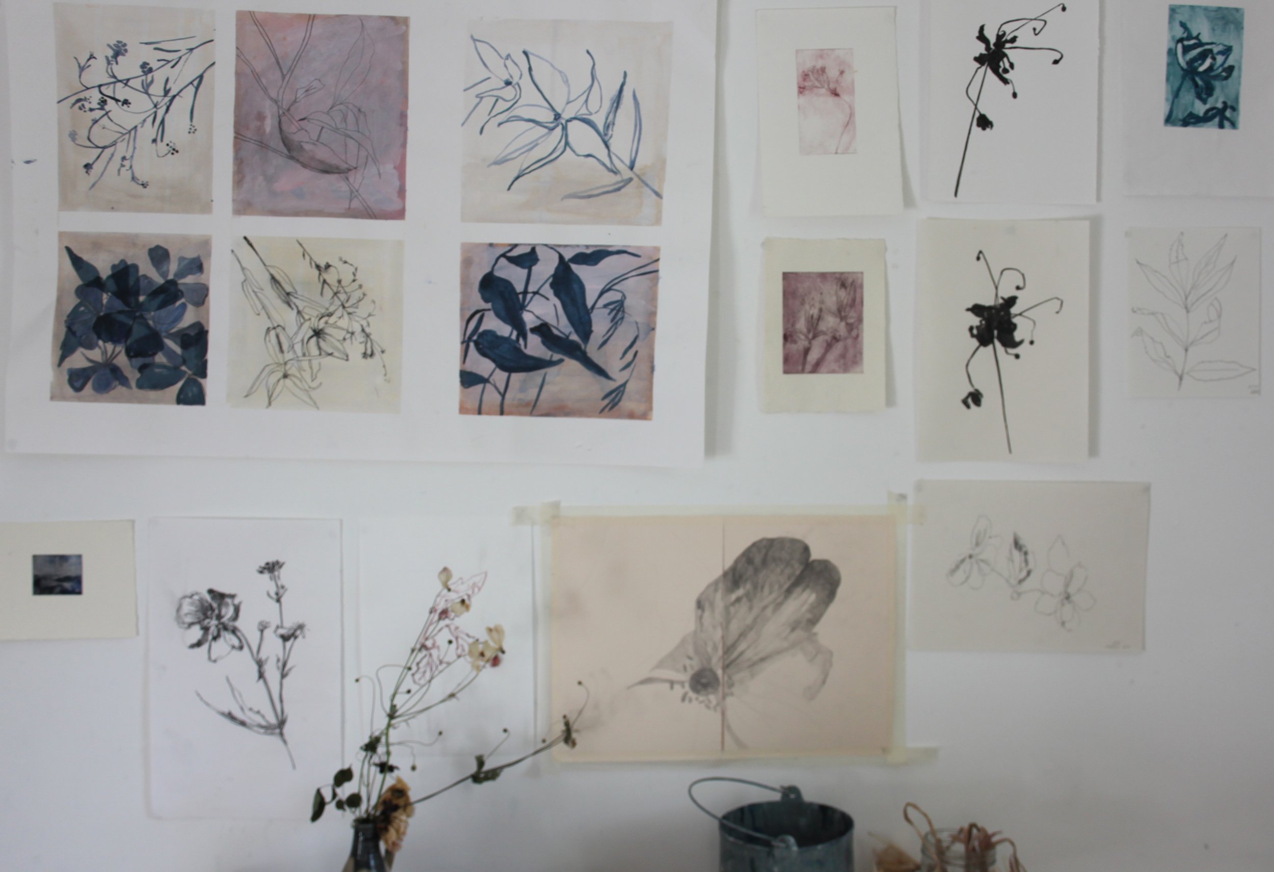The Joy of Drawing Workshops