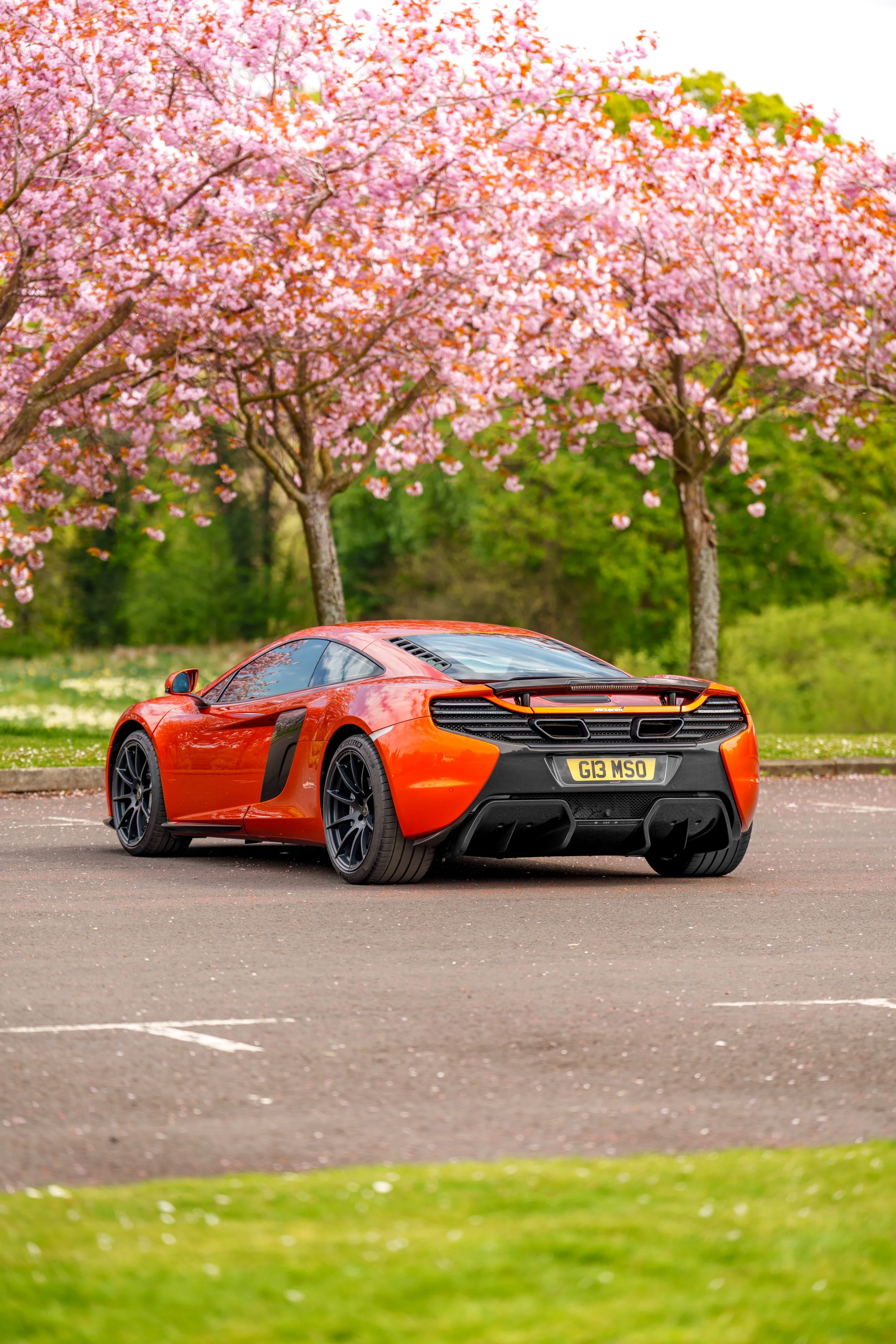 Mclaren_650s_cherry_blossoms_small-22.jpg
