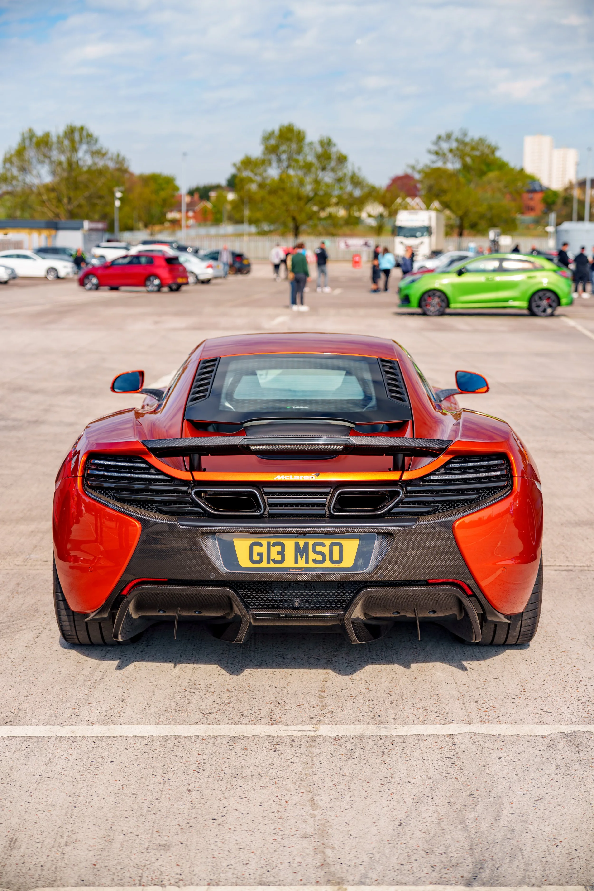Mclaren_650s_cherry_blossoms_small.jpg