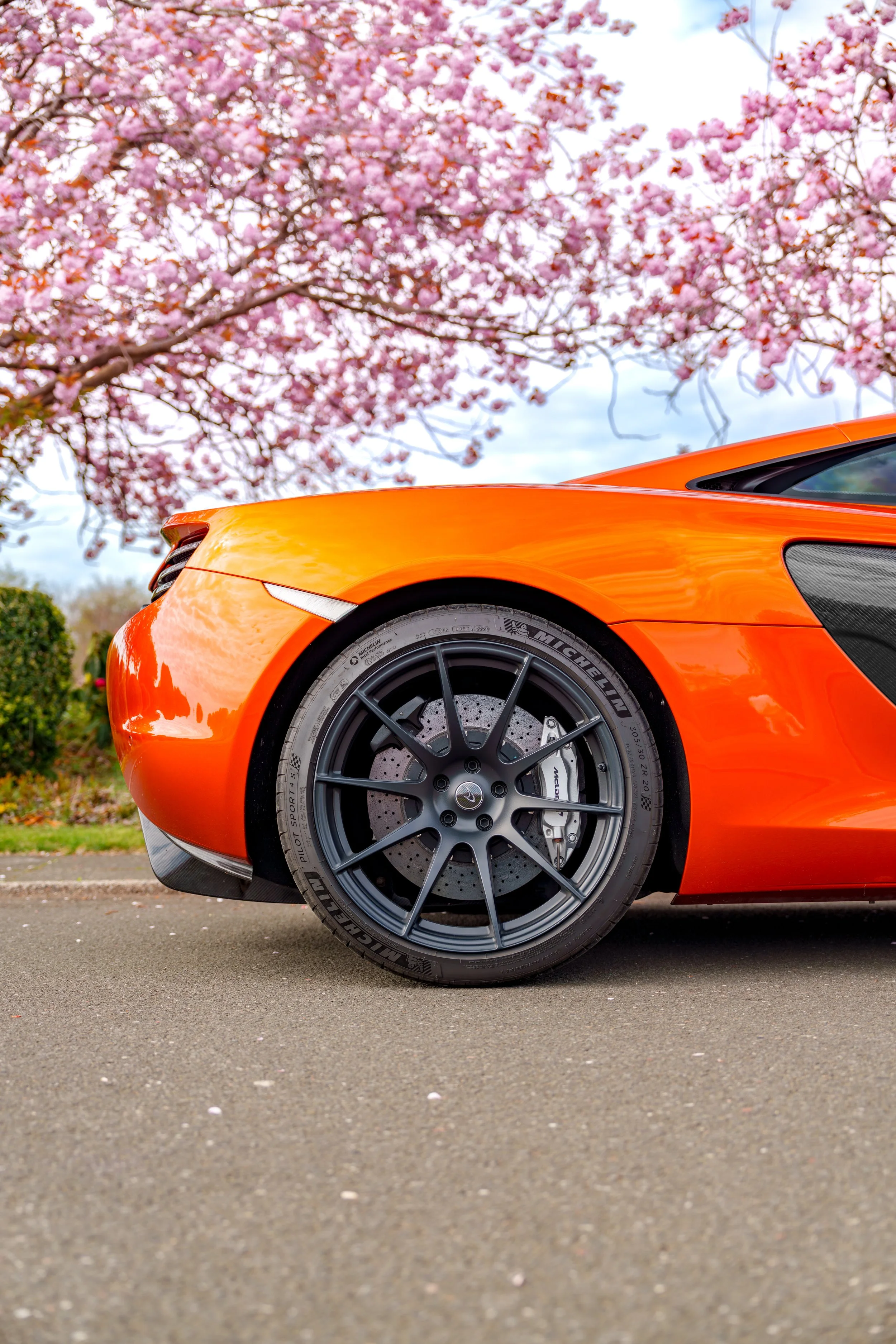 Mclaren_650s_cherry_blossoms_small-32.jpg