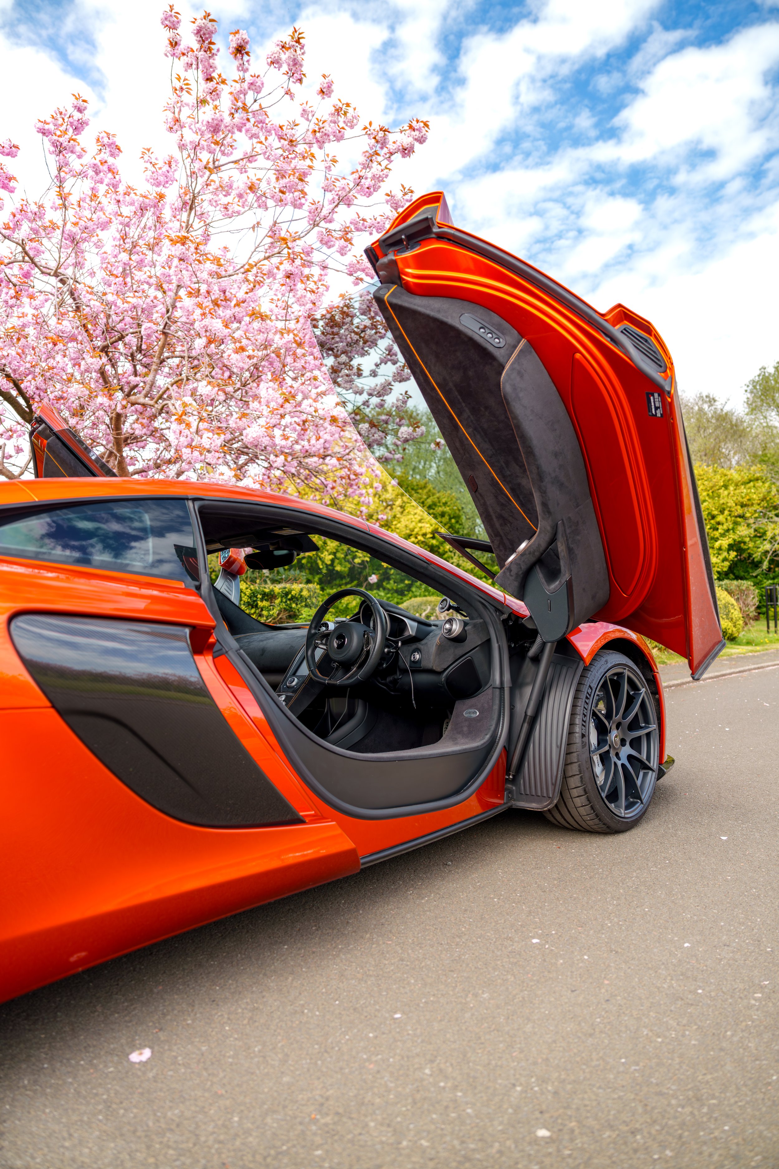 Mclaren_650s_cherry_blossoms_small-38.jpg