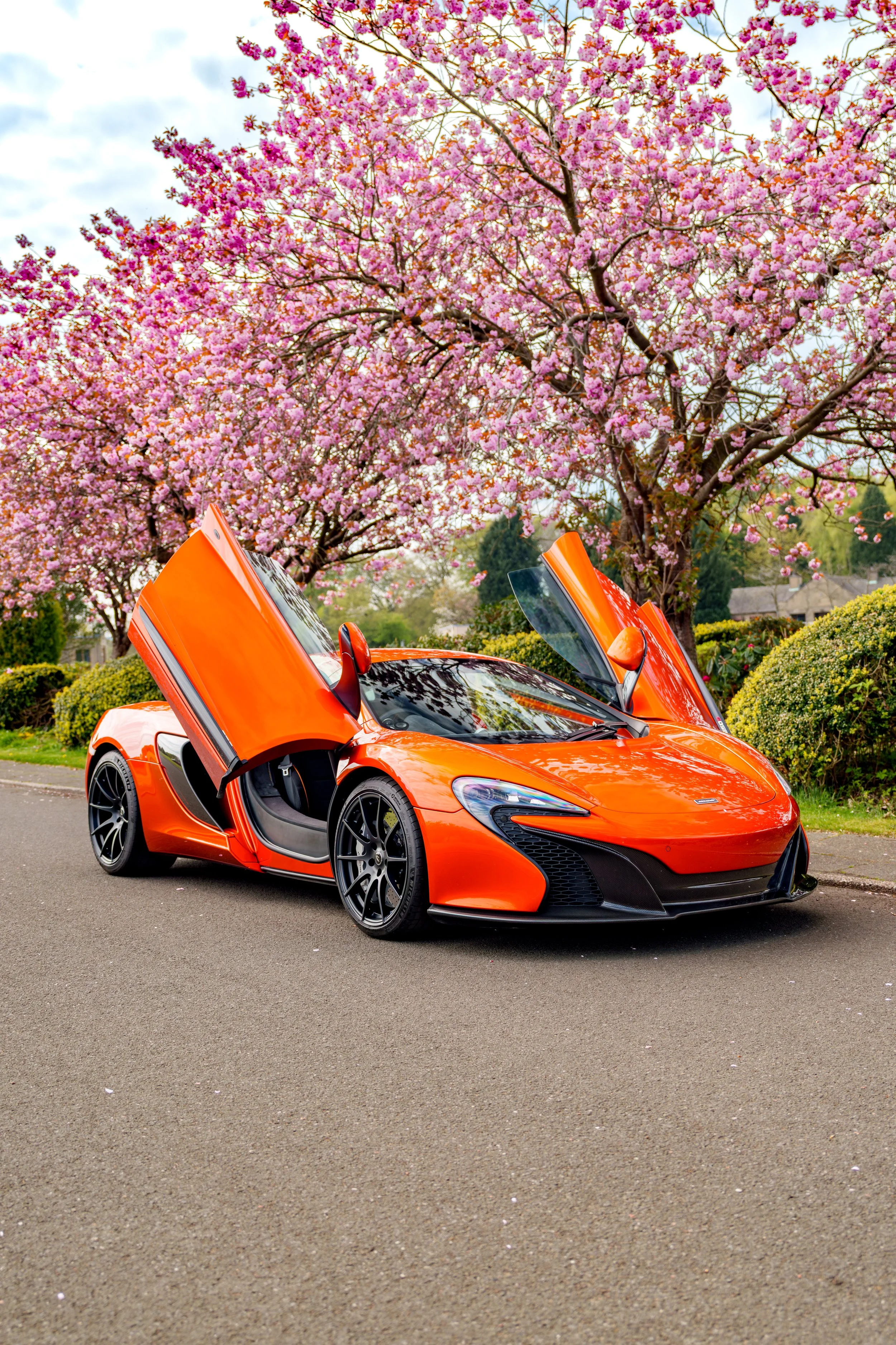 Mclaren_650s_cherry_blossoms_small-36.jpg