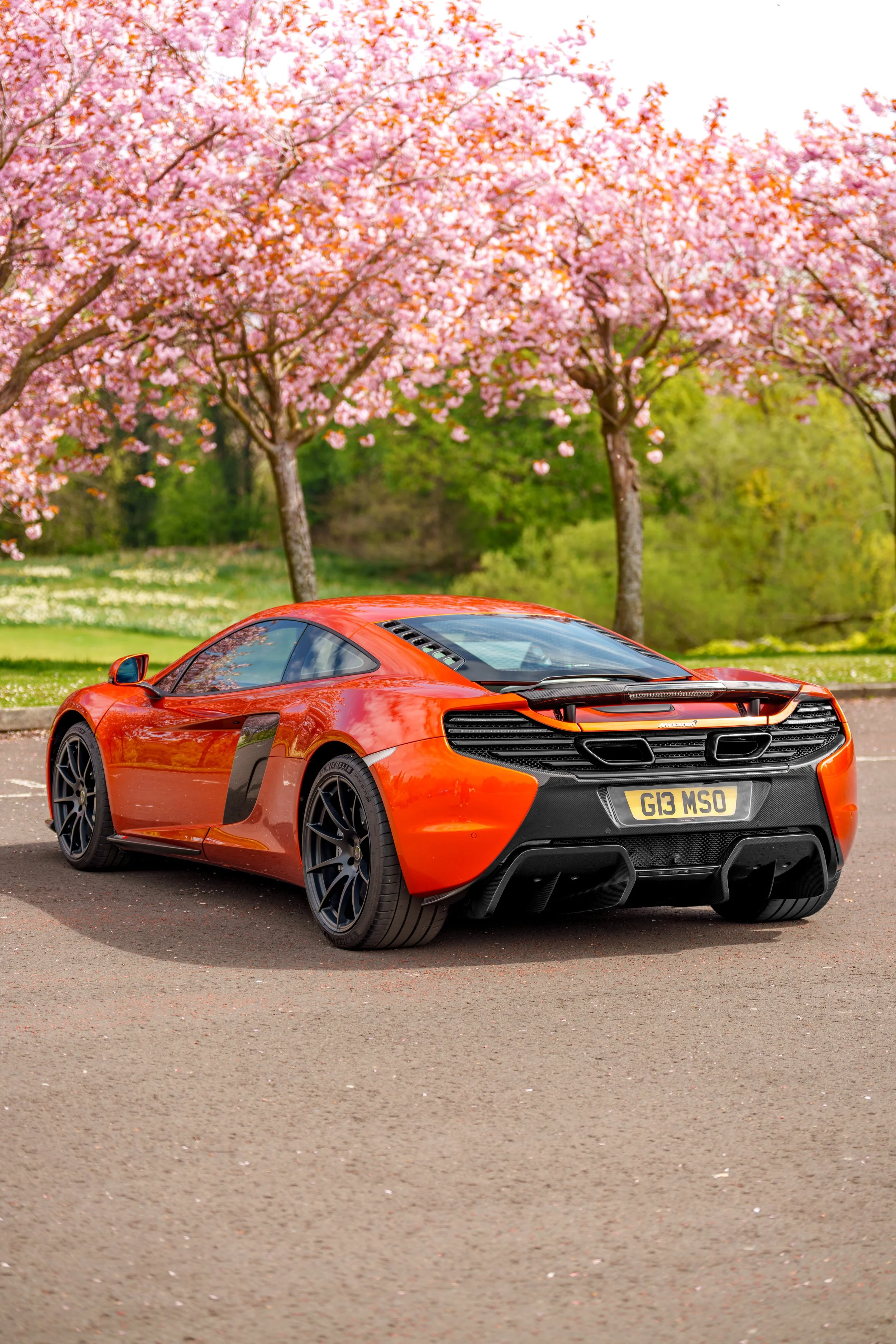 Mclaren_650s_cherry_blossoms_small-21.jpg