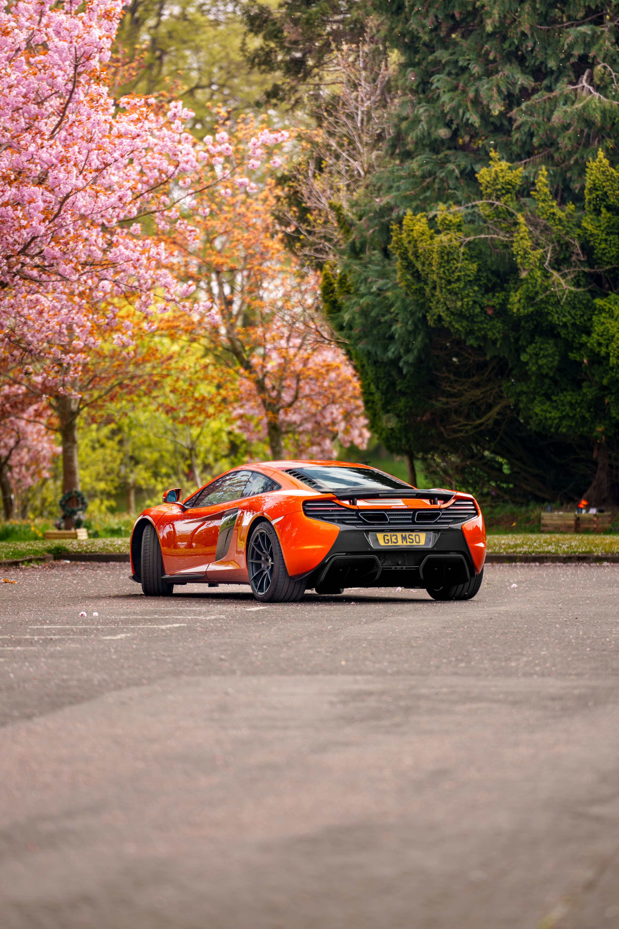 Mclaren_650s_cherry_blossoms_small-24.jpg