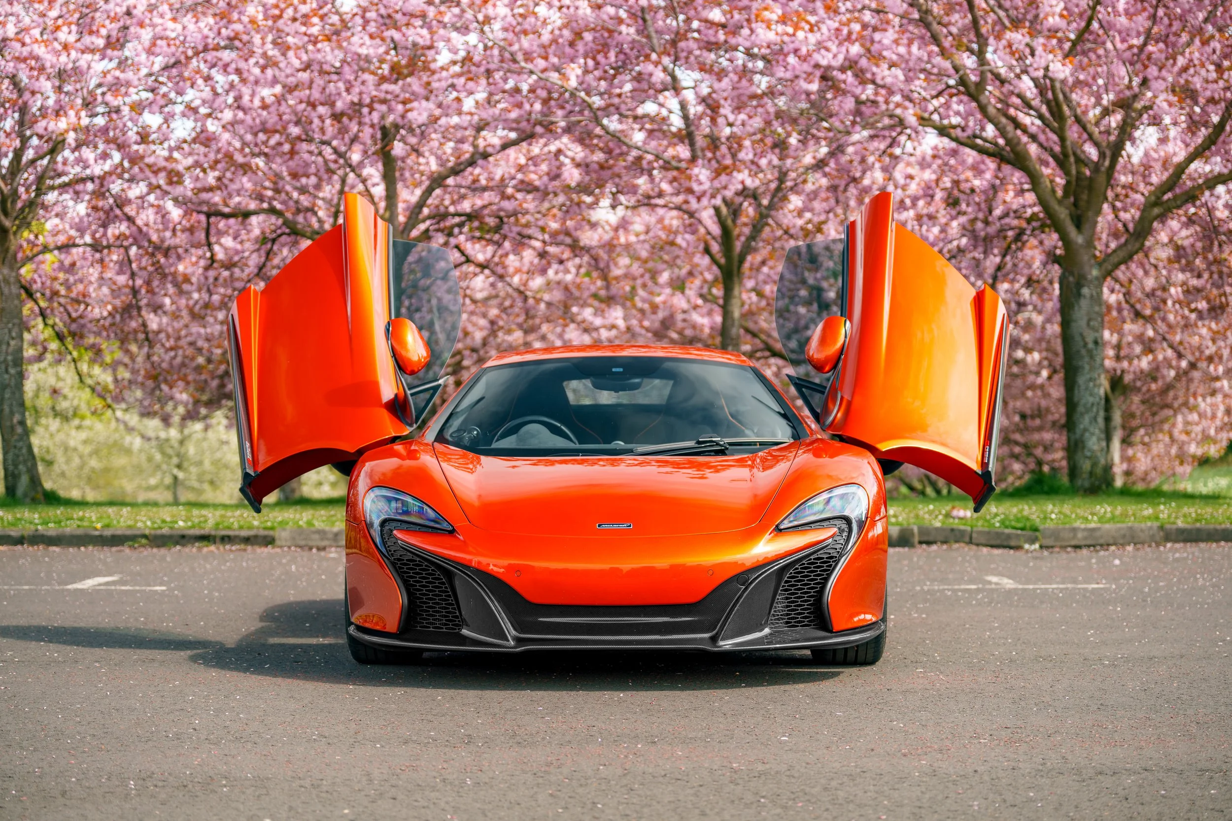 Mclaren_650s_cherry_blossoms_small-7.jpg