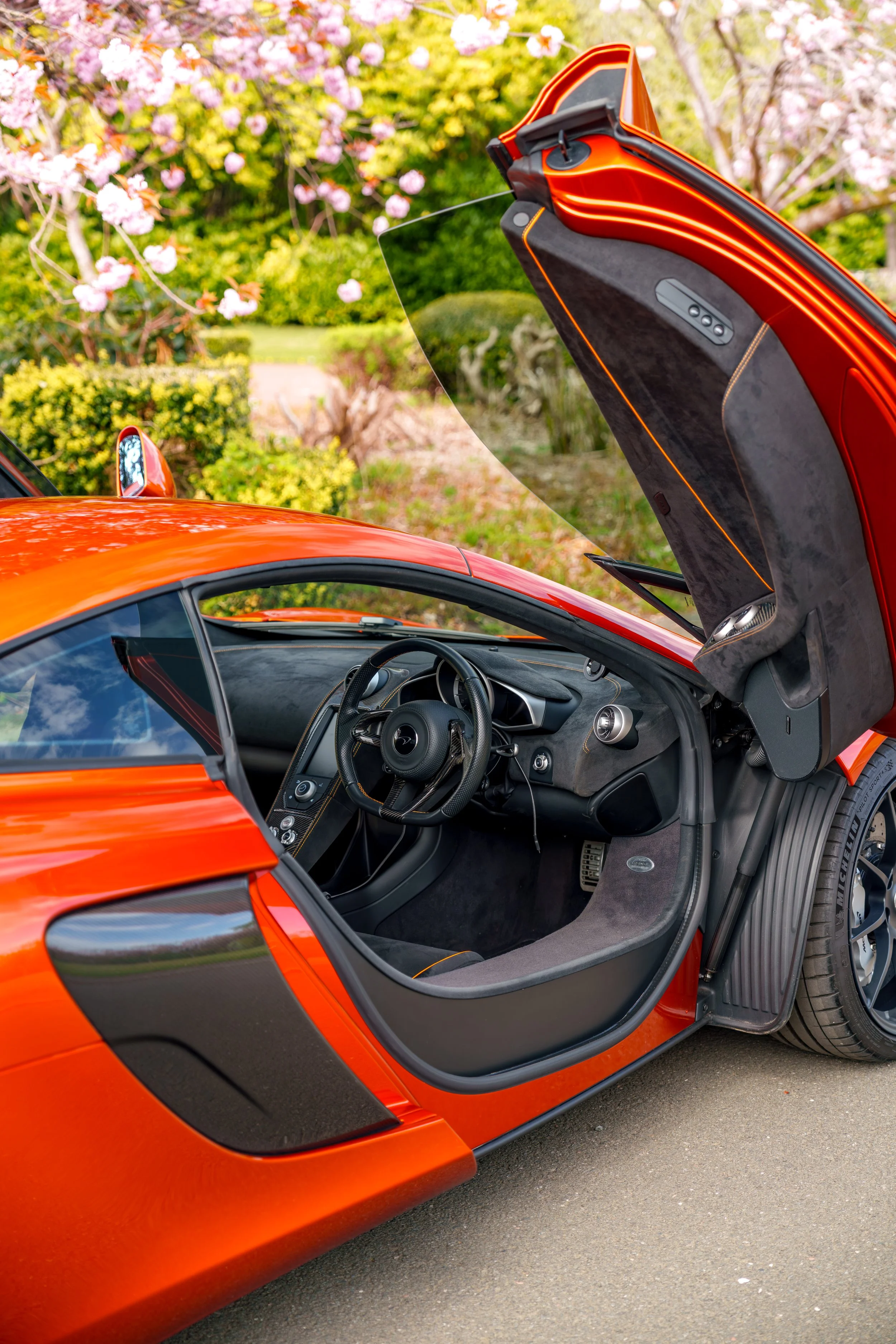 Mclaren_650s_cherry_blossoms_small-39.jpg