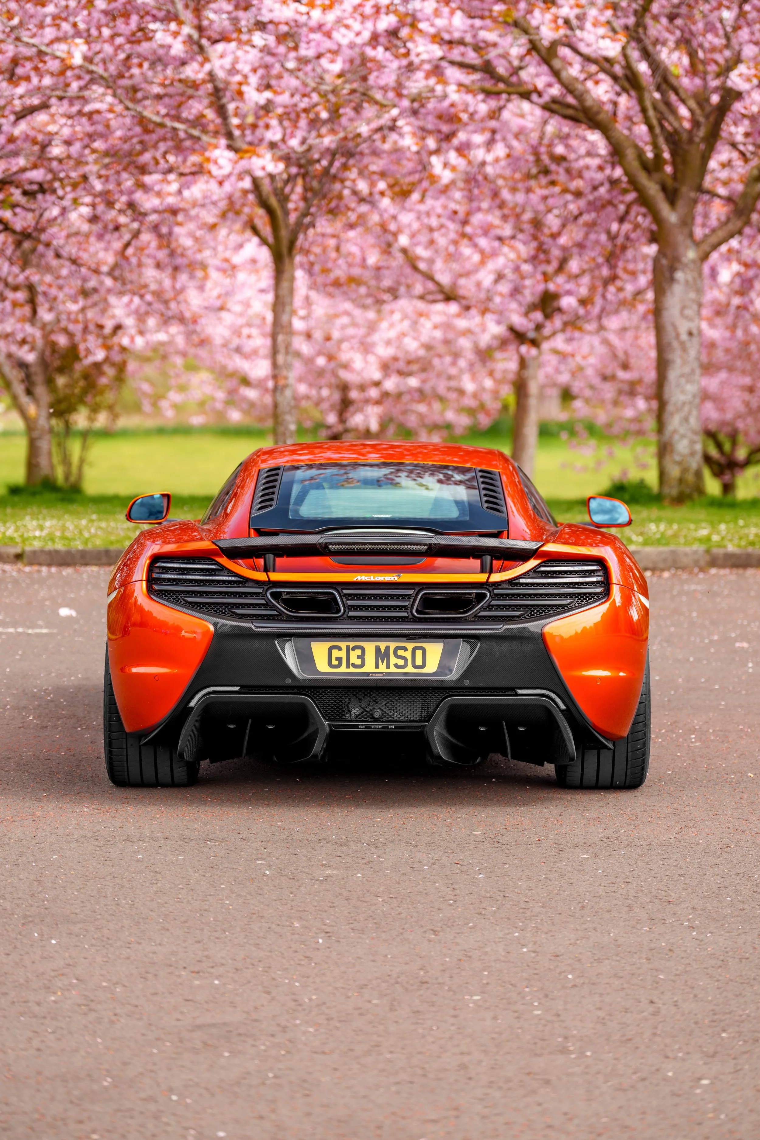 Mclaren_650s_cherry_blossoms_small-20.jpg
