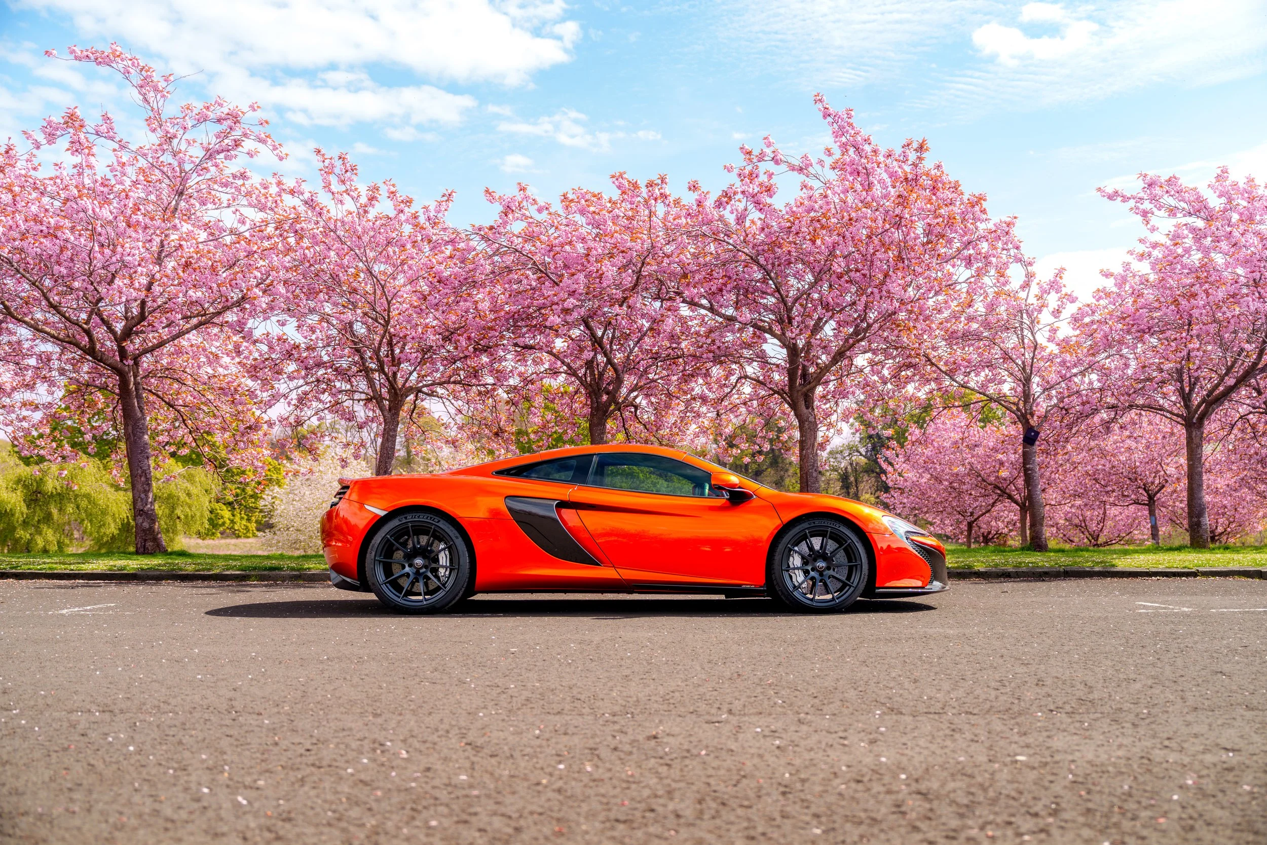 Mclaren_650s_cherry_blossoms_small-2.jpg