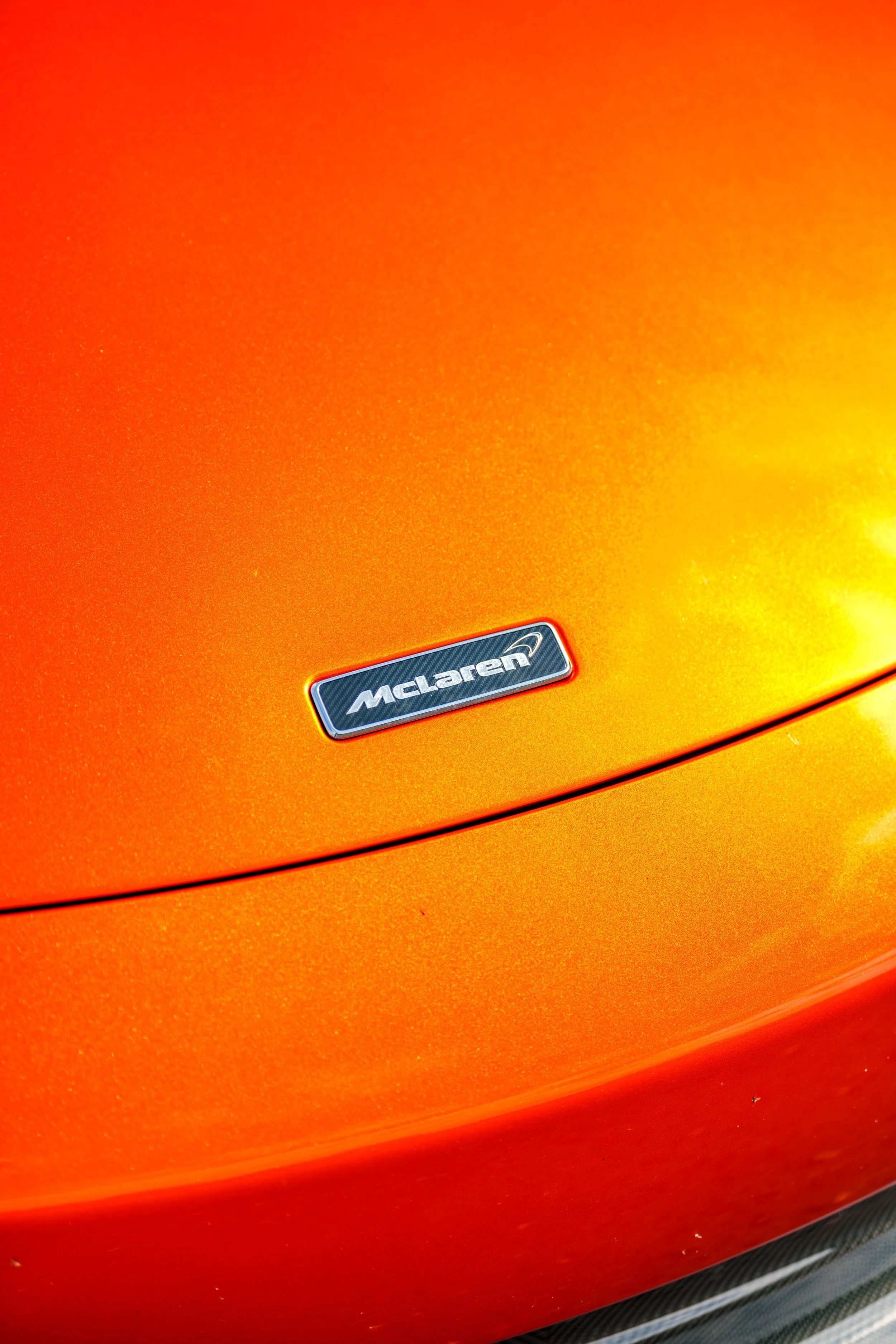 Mclaren_650s_cherry_blossoms_small-12.jpg