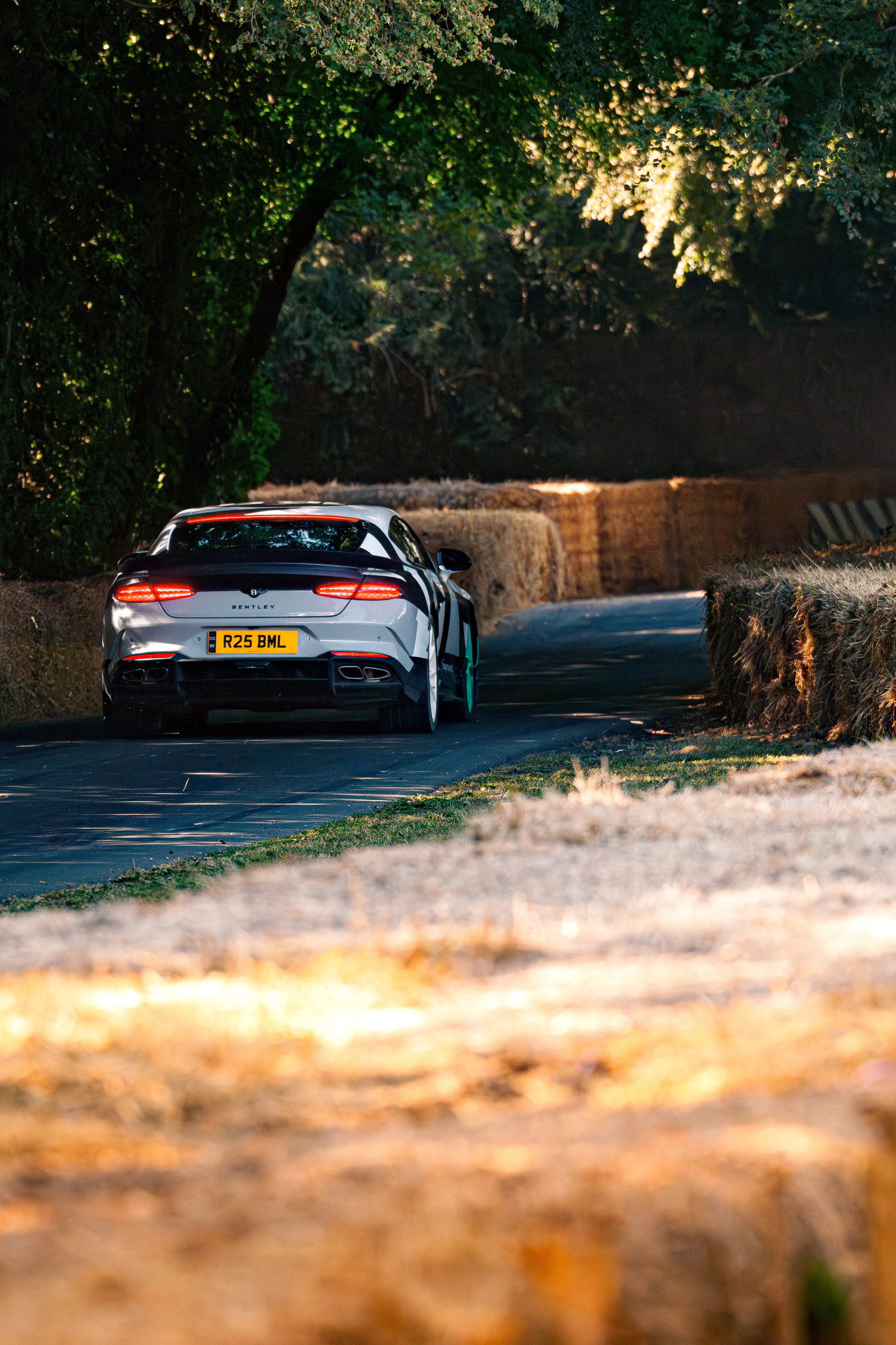 Ferrari_event_AutofocusLuca-36.jpg