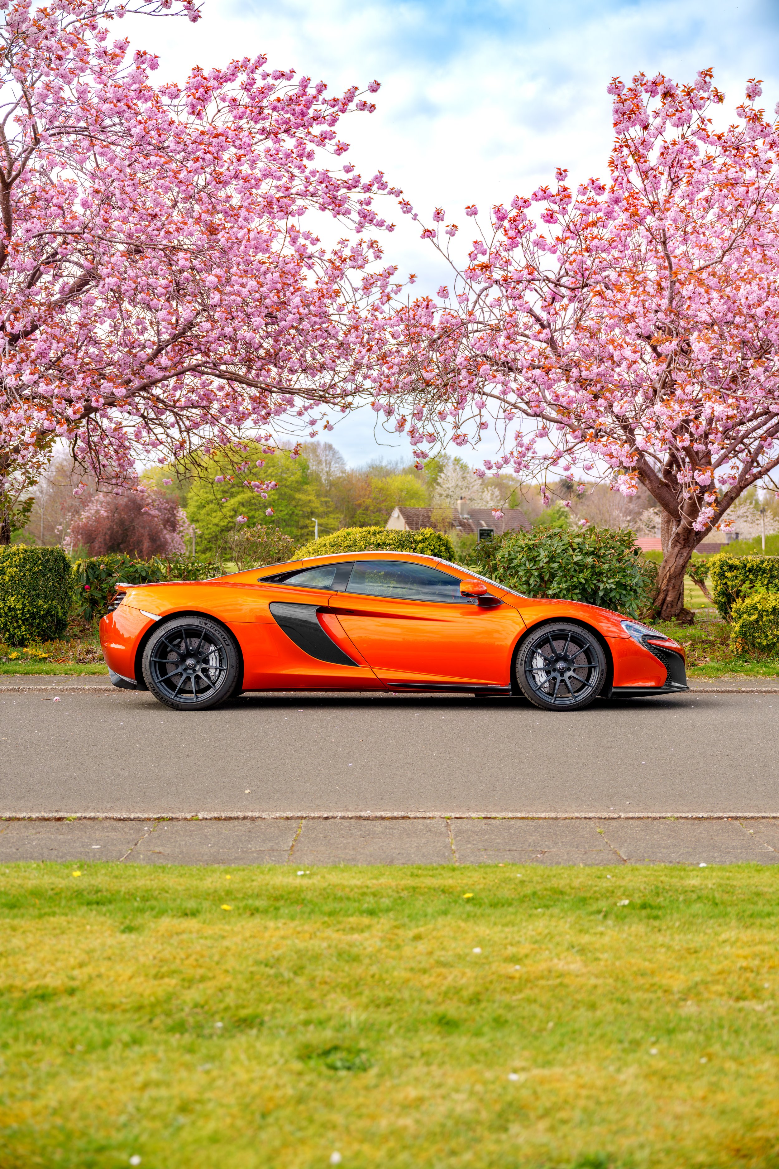 Mclaren_650s_cherry_blossoms_small-31.jpg