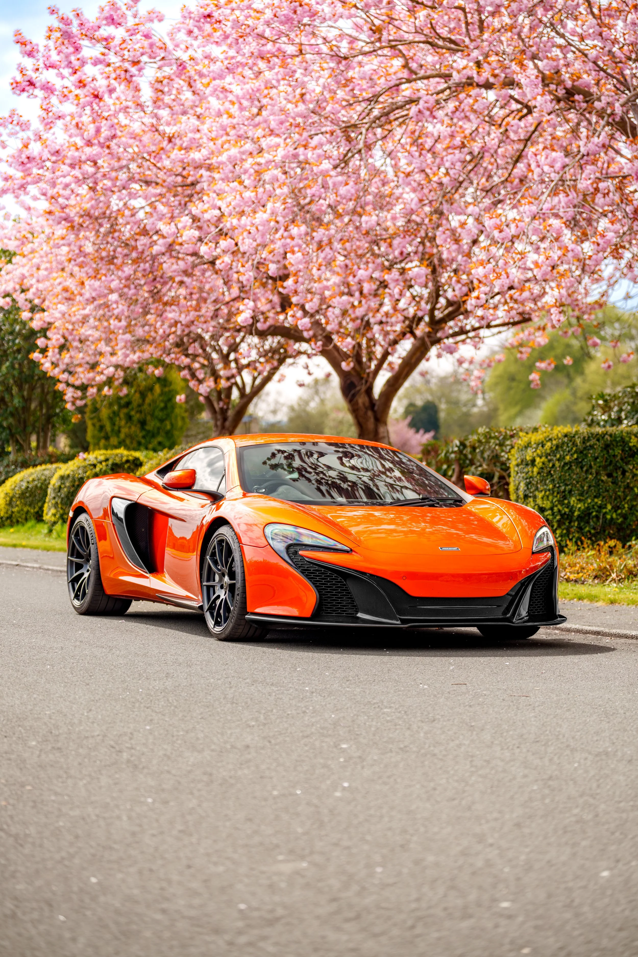Mclaren_650s_cherry_blossoms_small-25.jpg