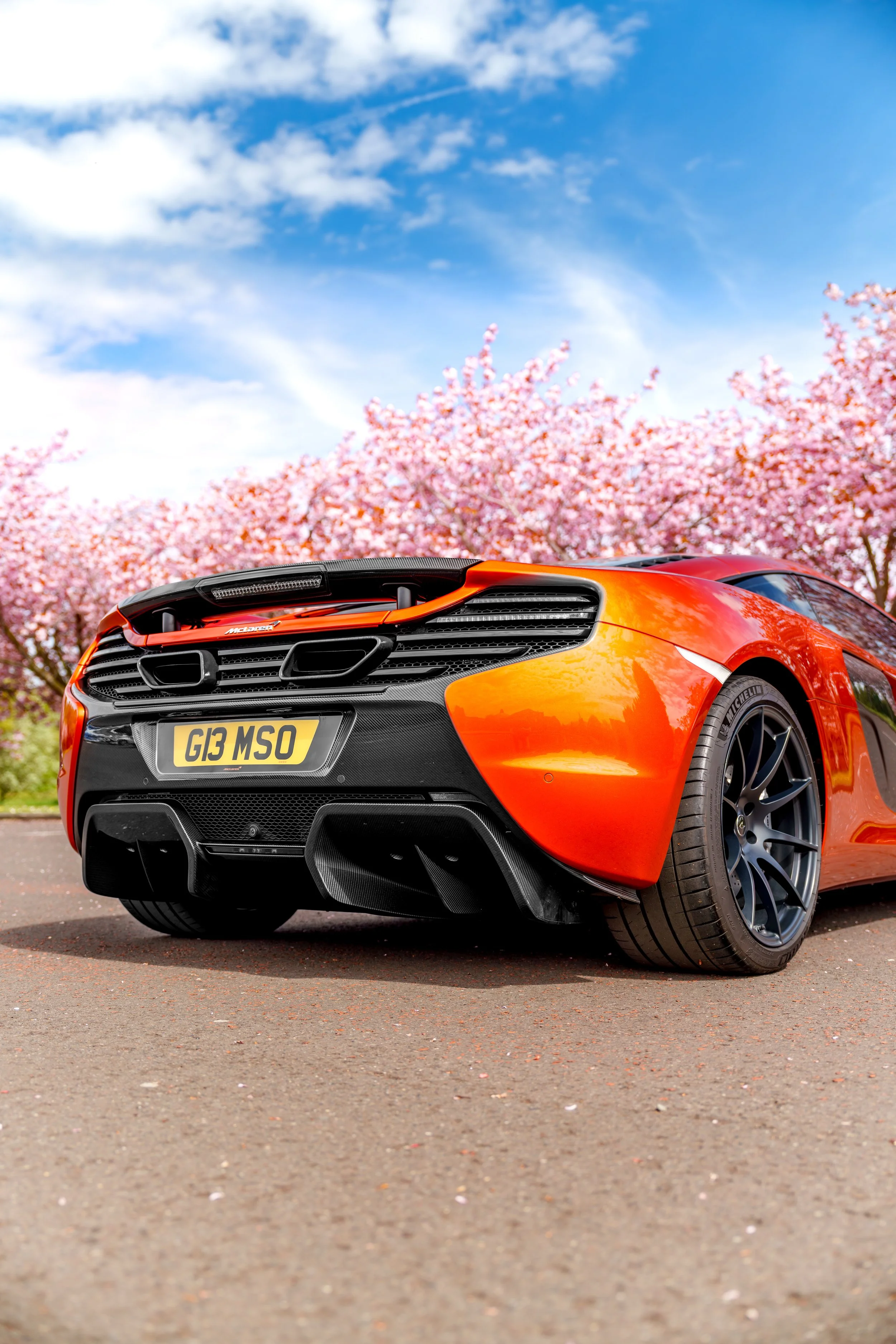 Mclaren_650s_cherry_blossoms_small-19.jpg