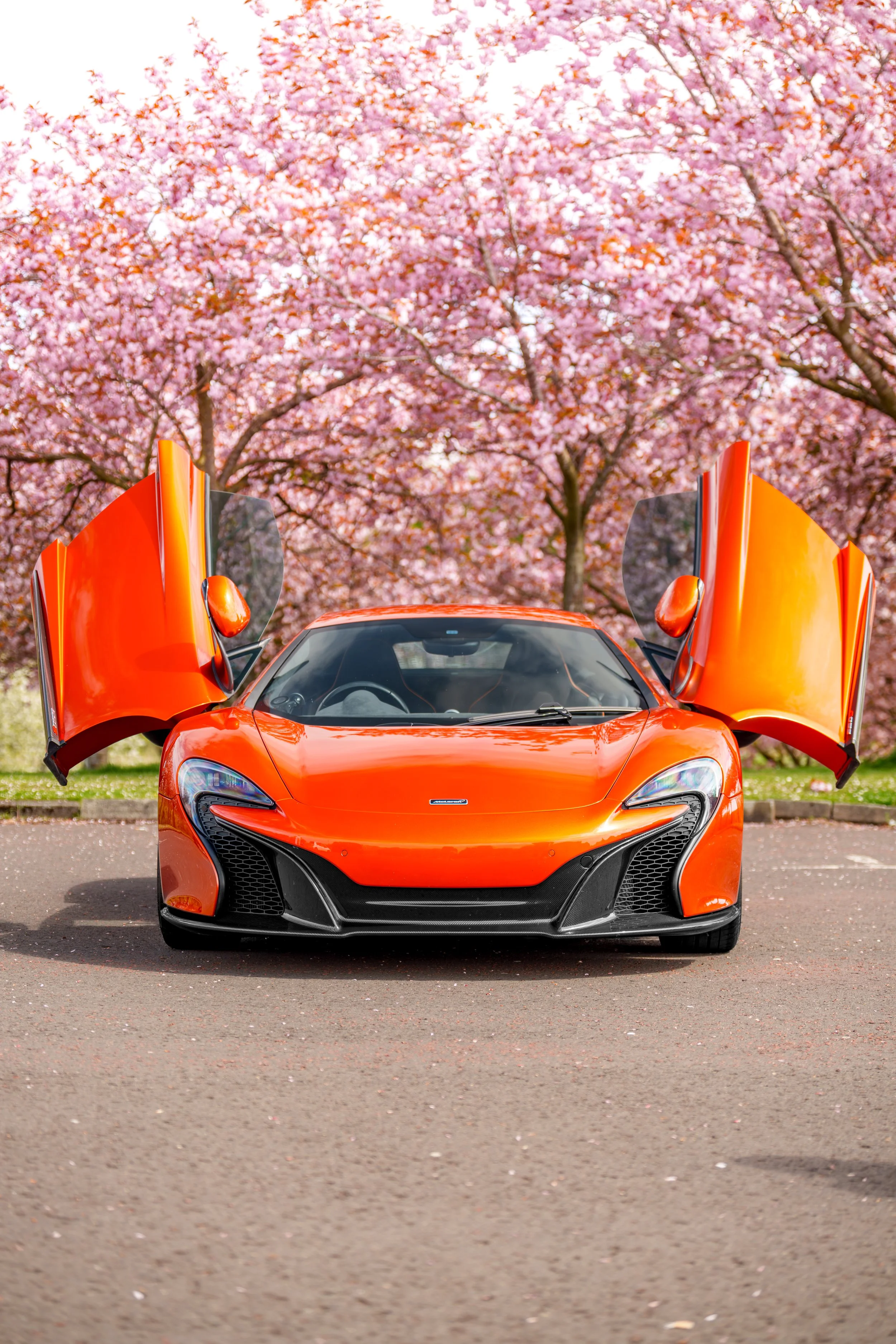 Mclaren_650s_cherry_blossoms_small-8.jpg