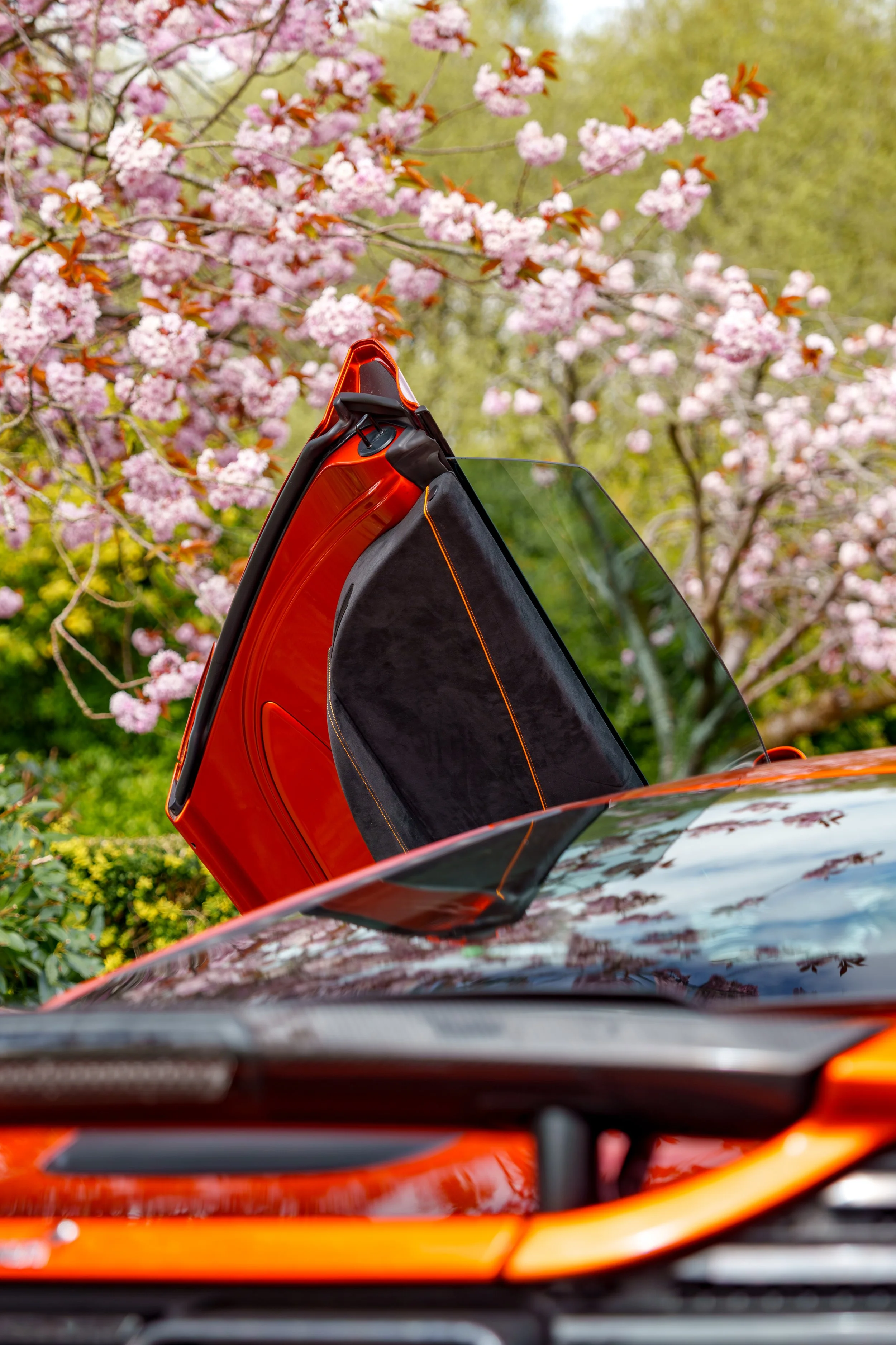 Mclaren_650s_cherry_blossoms_small-43.jpg