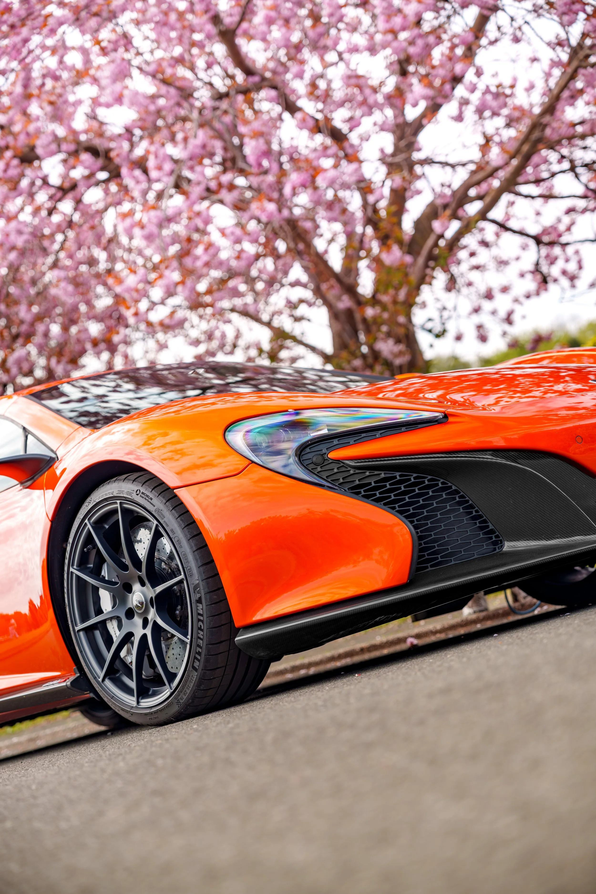 Mclaren_650s_cherry_blossoms_small-30.jpg