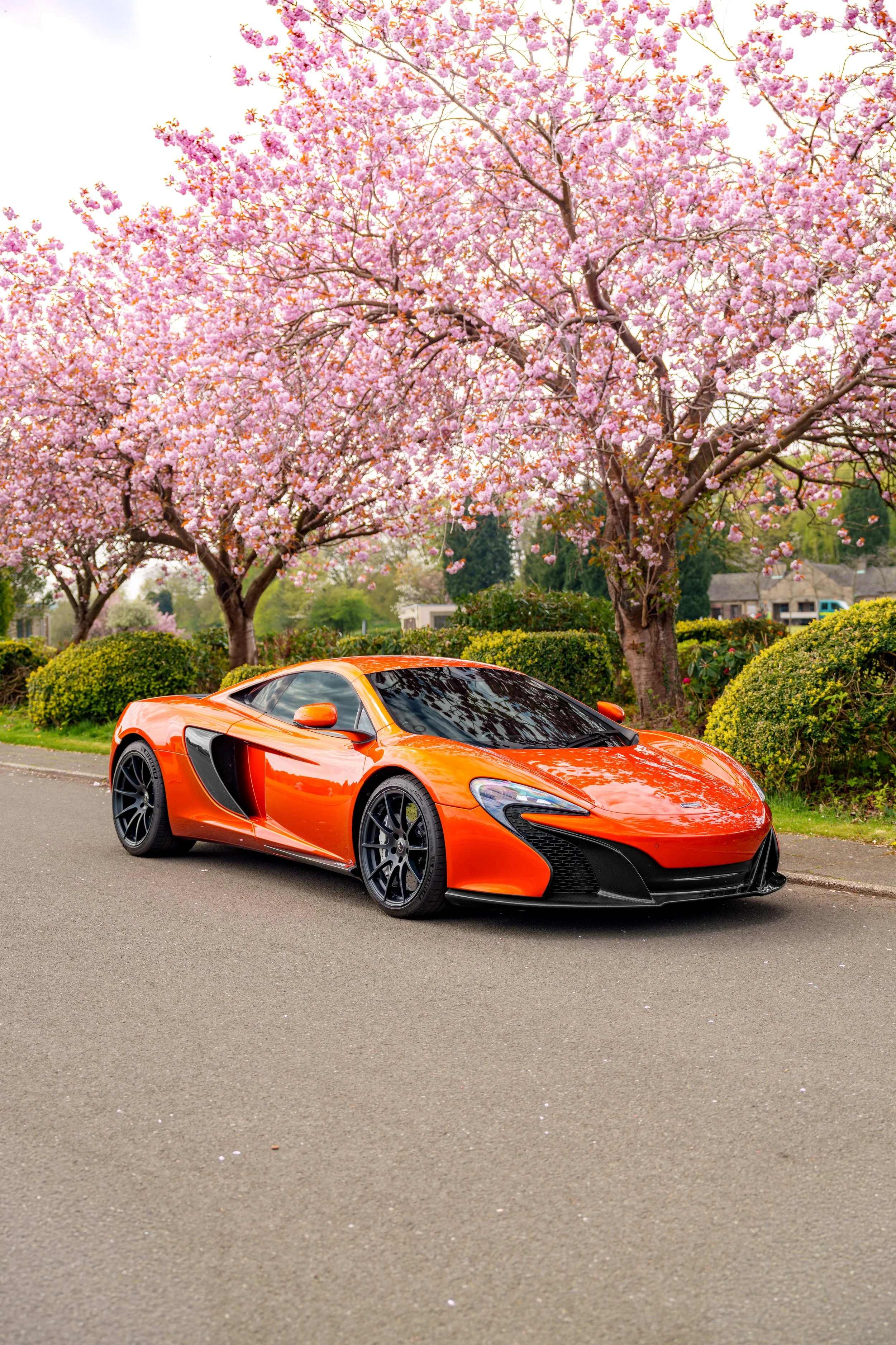 Mclaren_650s_cherry_blossoms_small-28.jpg