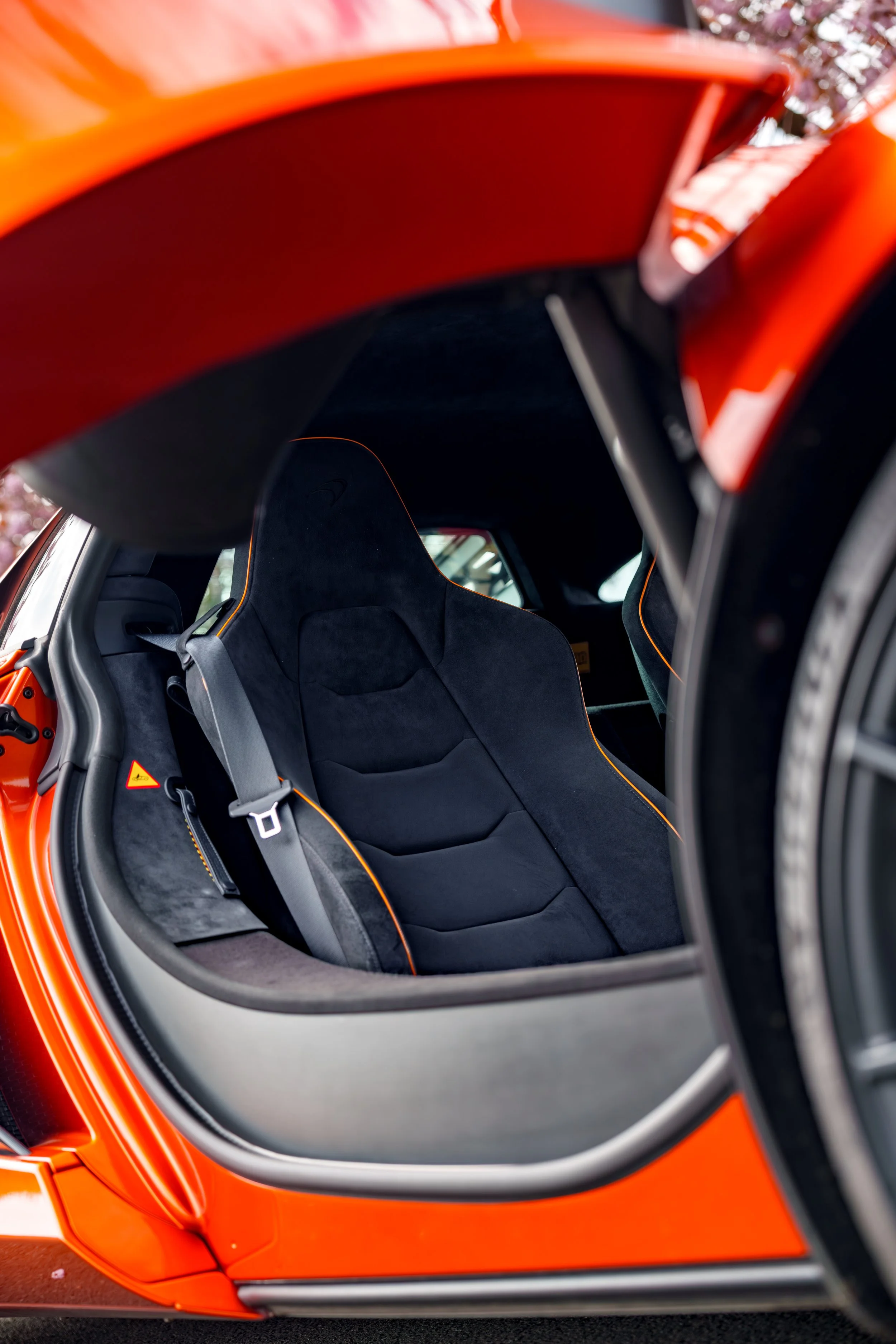 Mclaren_650s_cherry_blossoms_small-37.jpg