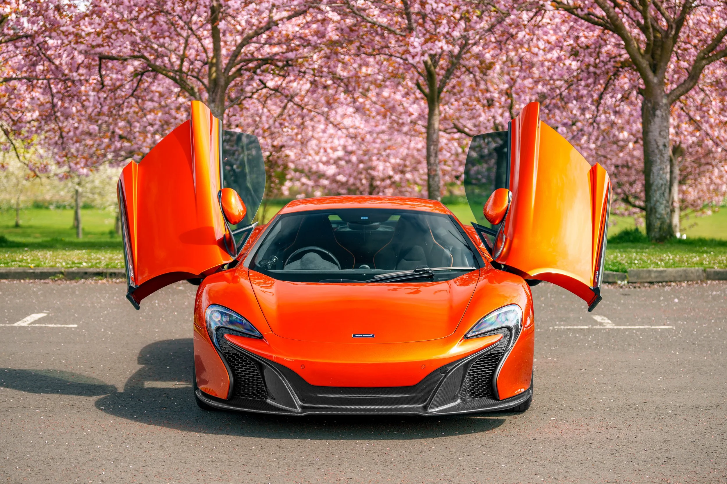 Mclaren_650s_cherry_blossoms_small-6.jpg