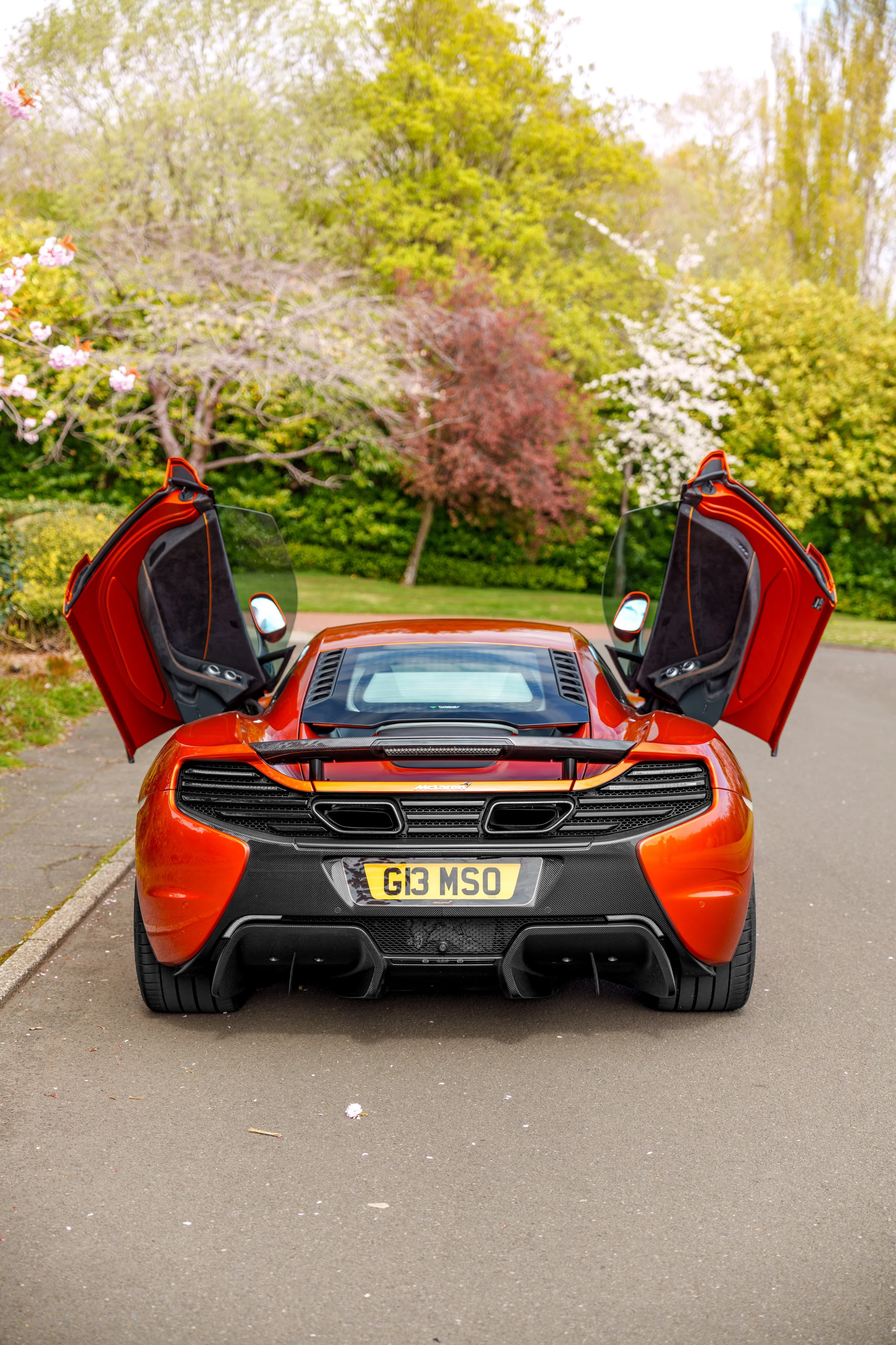 Mclaren_650s_cherry_blossoms_small-44.jpg