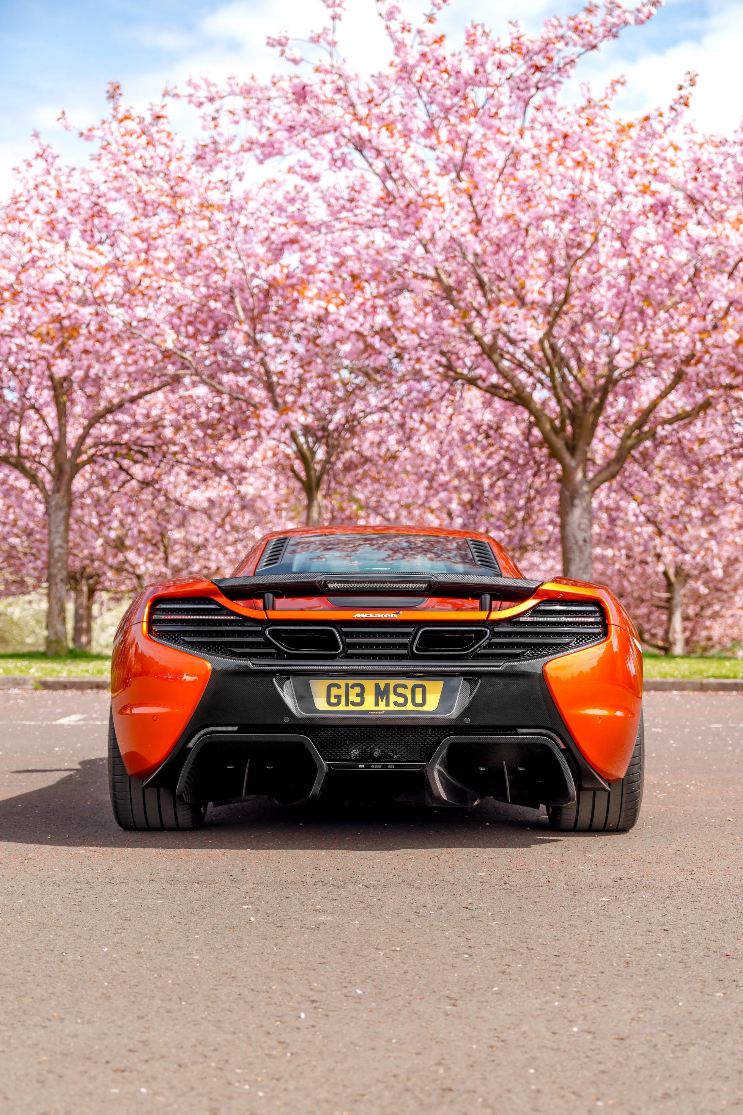 Mclaren_650s_cherry_blossoms_small-18.jpg