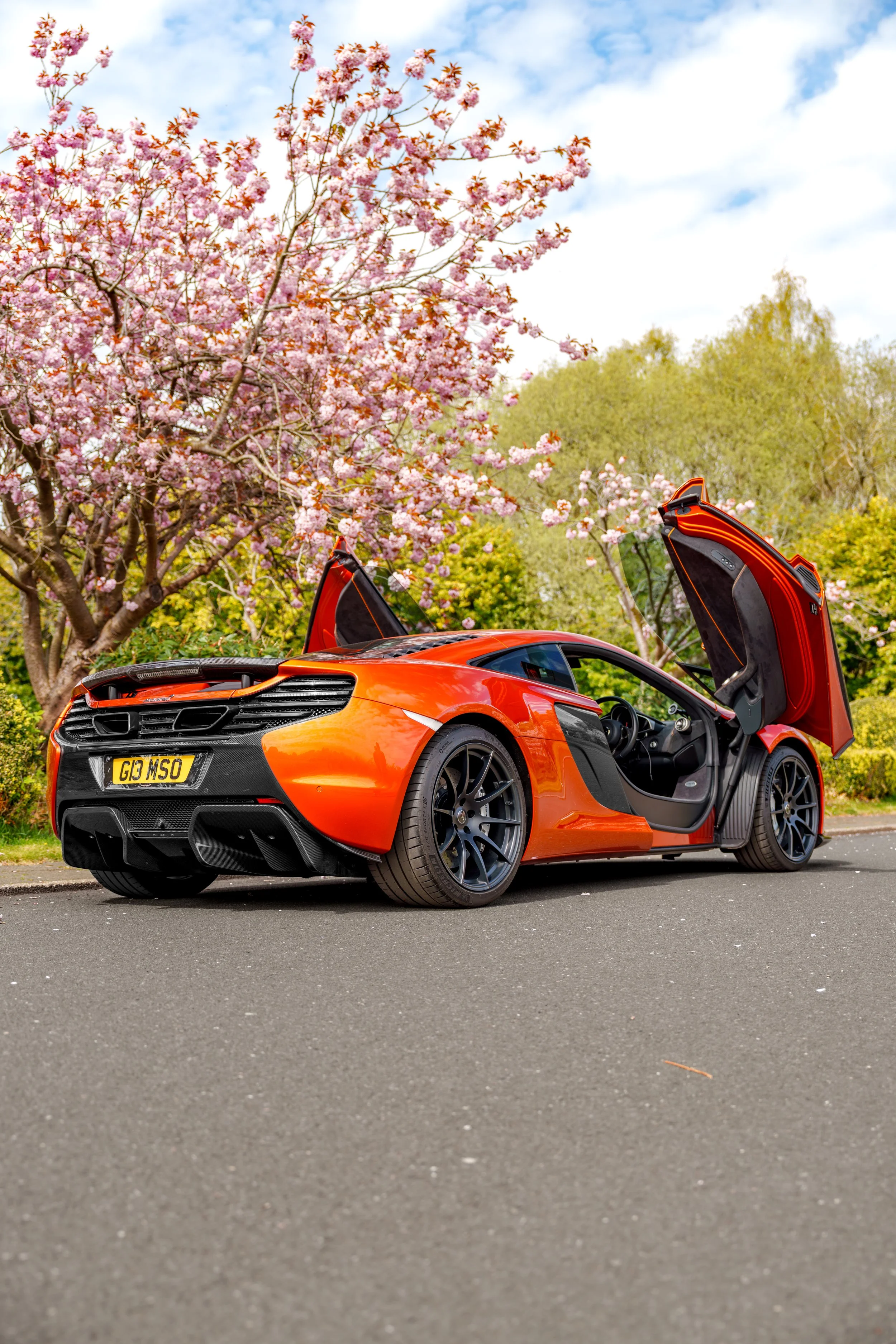 Mclaren_650s_cherry_blossoms_small-34.jpg