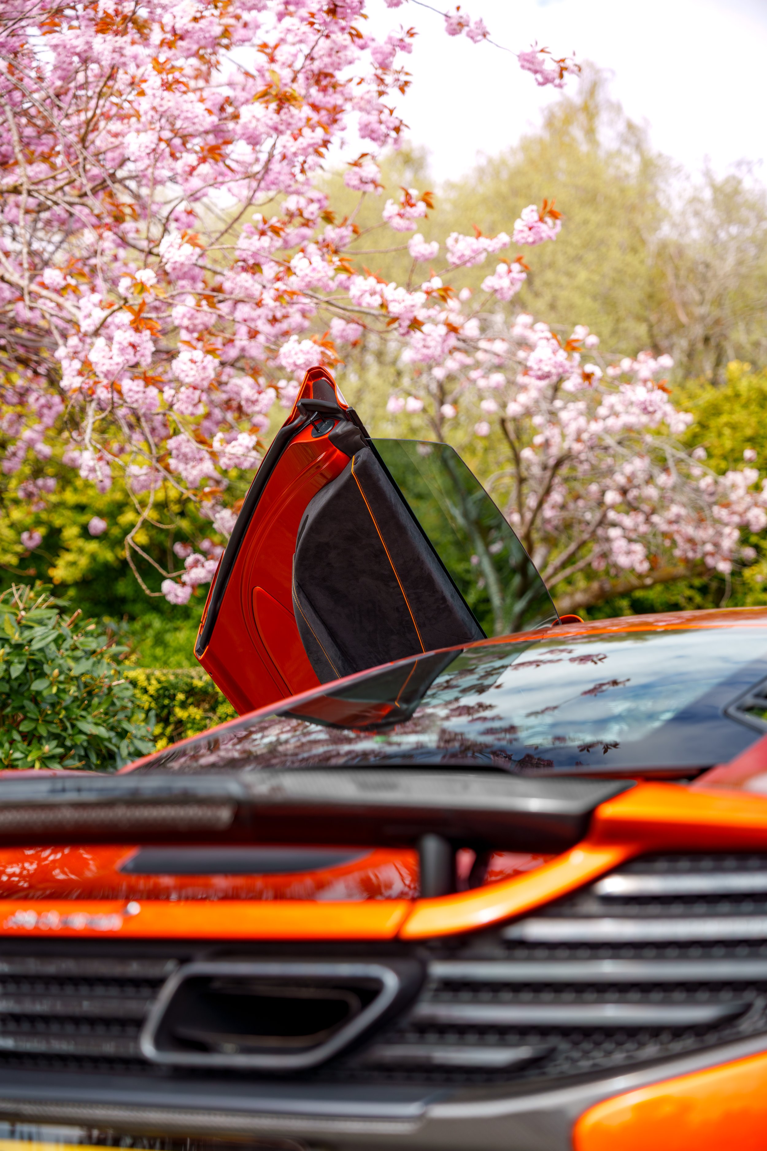 Mclaren_650s_cherry_blossoms_small-42.jpg