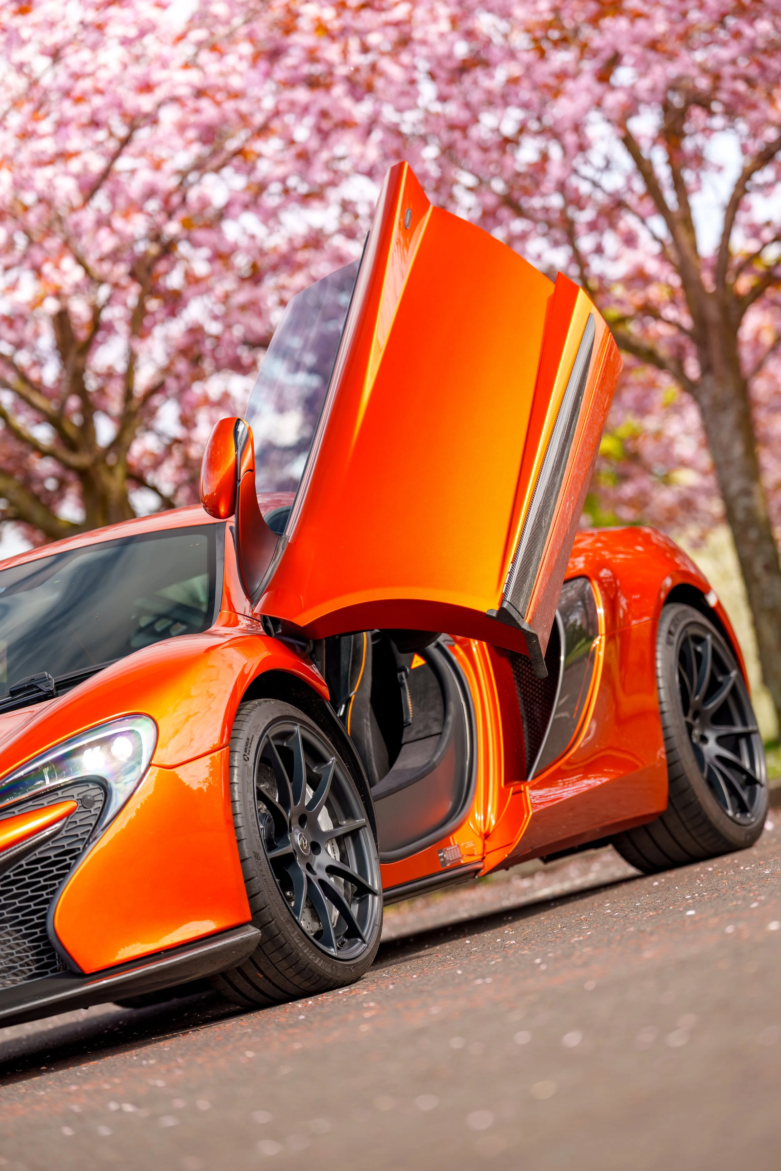 Mclaren_650s_cherry_blossoms_small-3.jpg