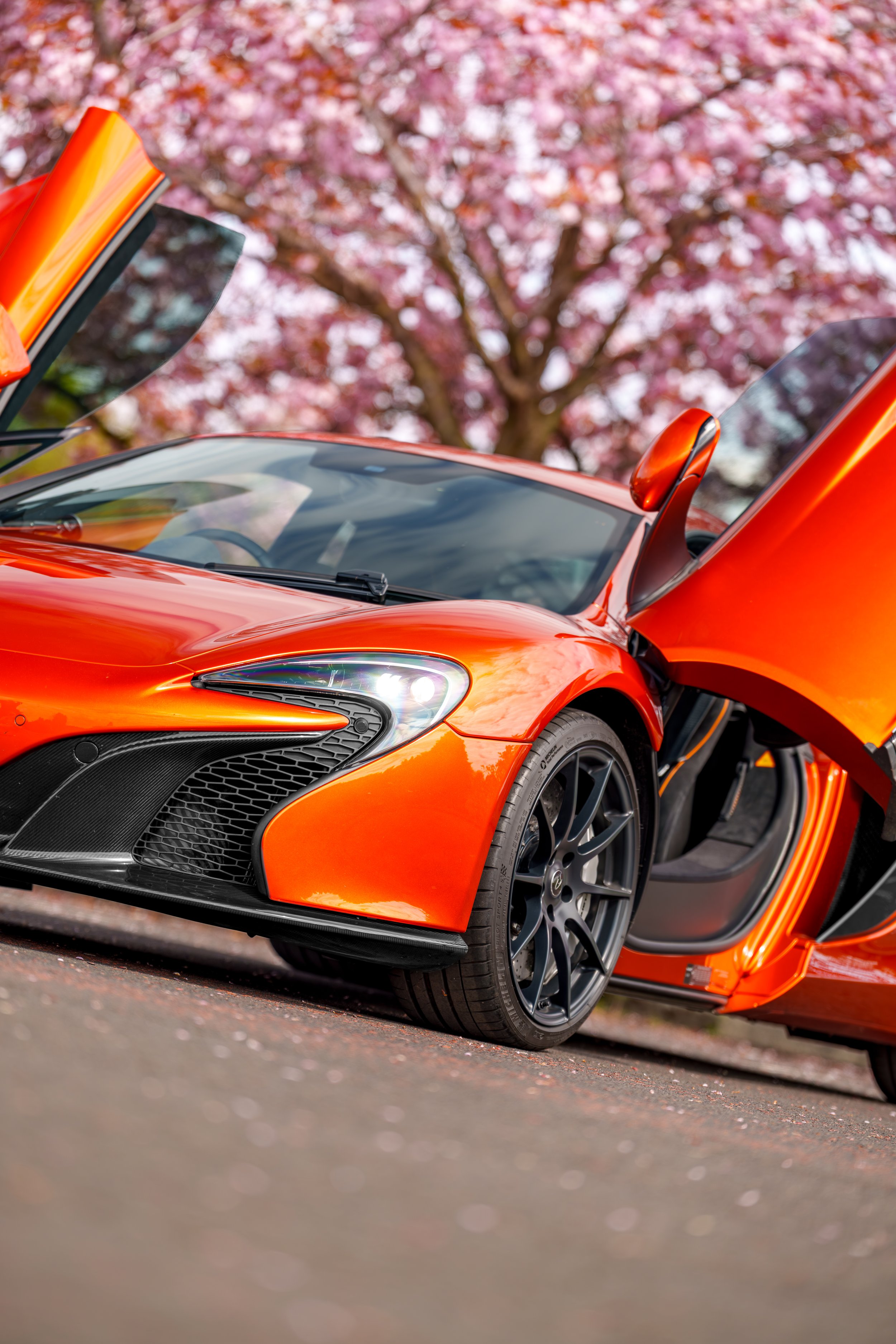 Mclaren_650s_cherry_blossoms_small-5.jpg