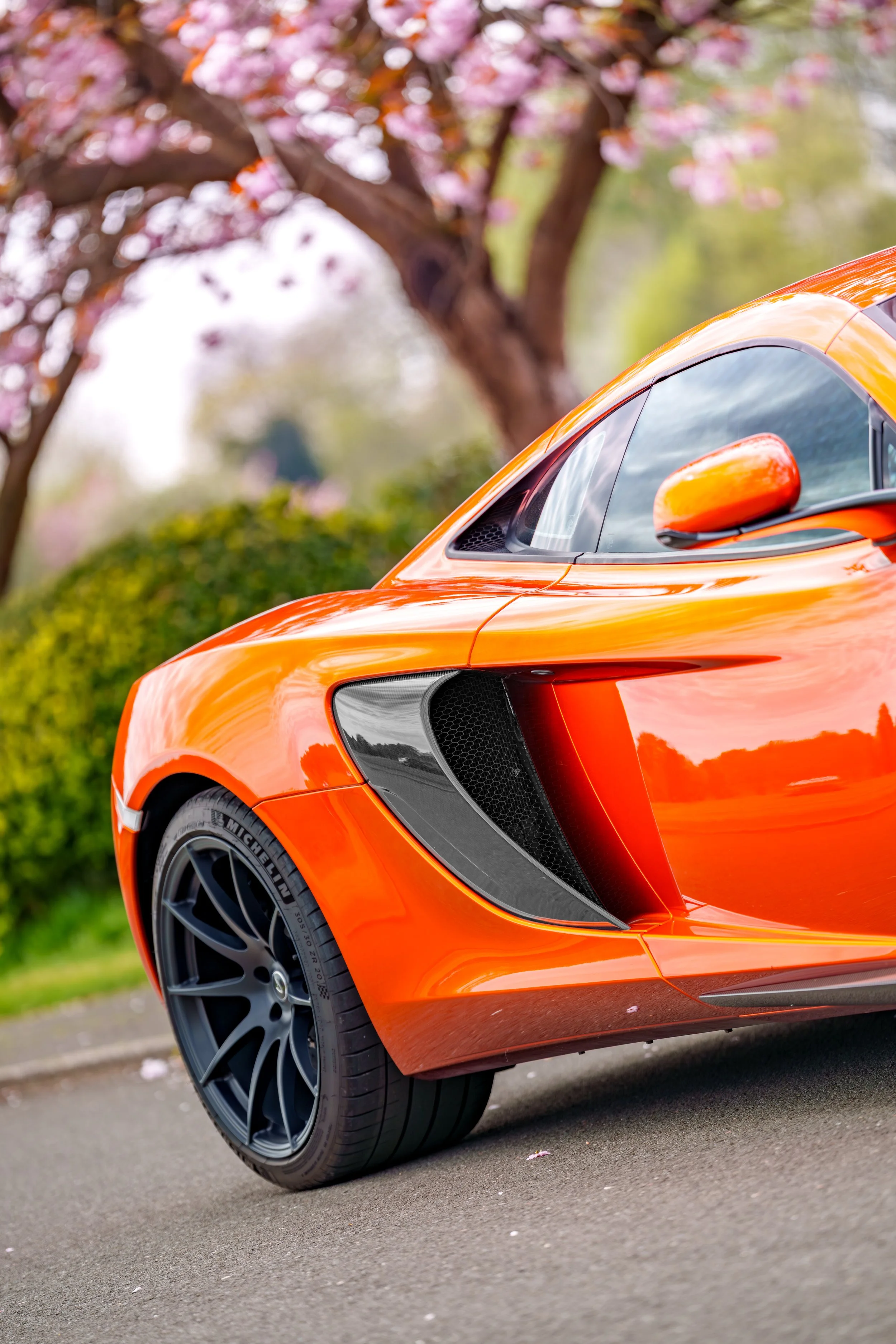 Mclaren_650s_cherry_blossoms_small-26.jpg