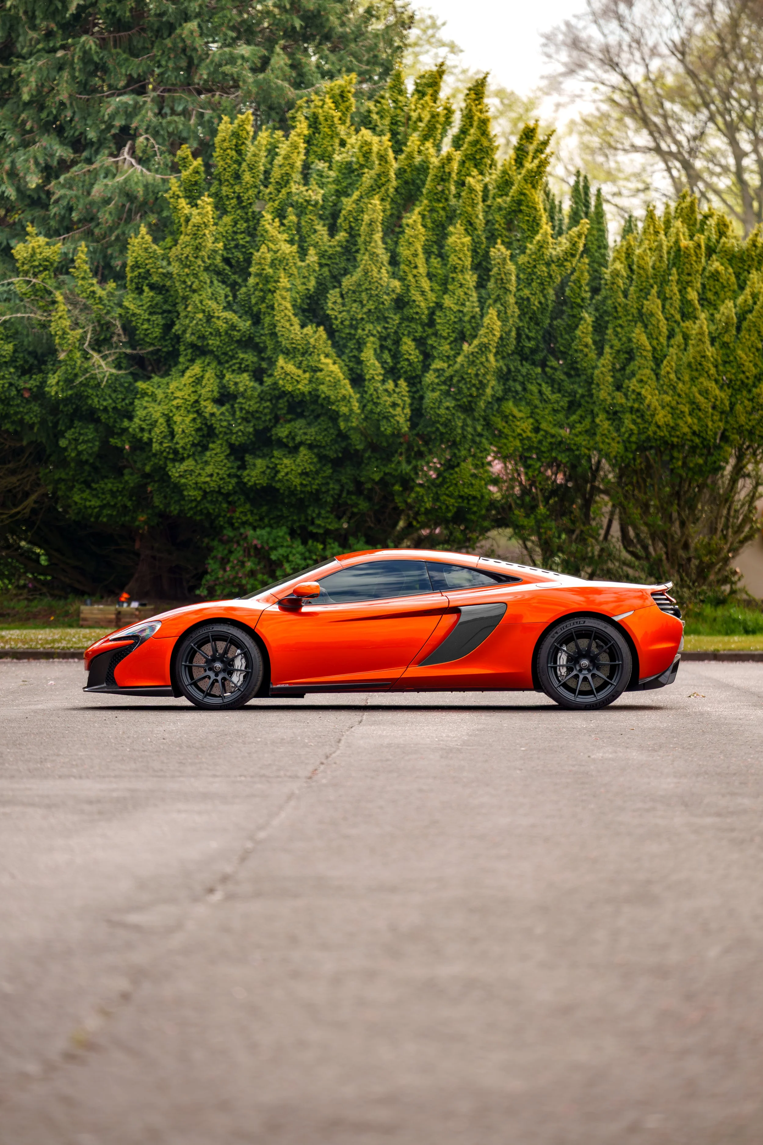Mclaren_650s_cherry_blossoms_small-23.jpg
