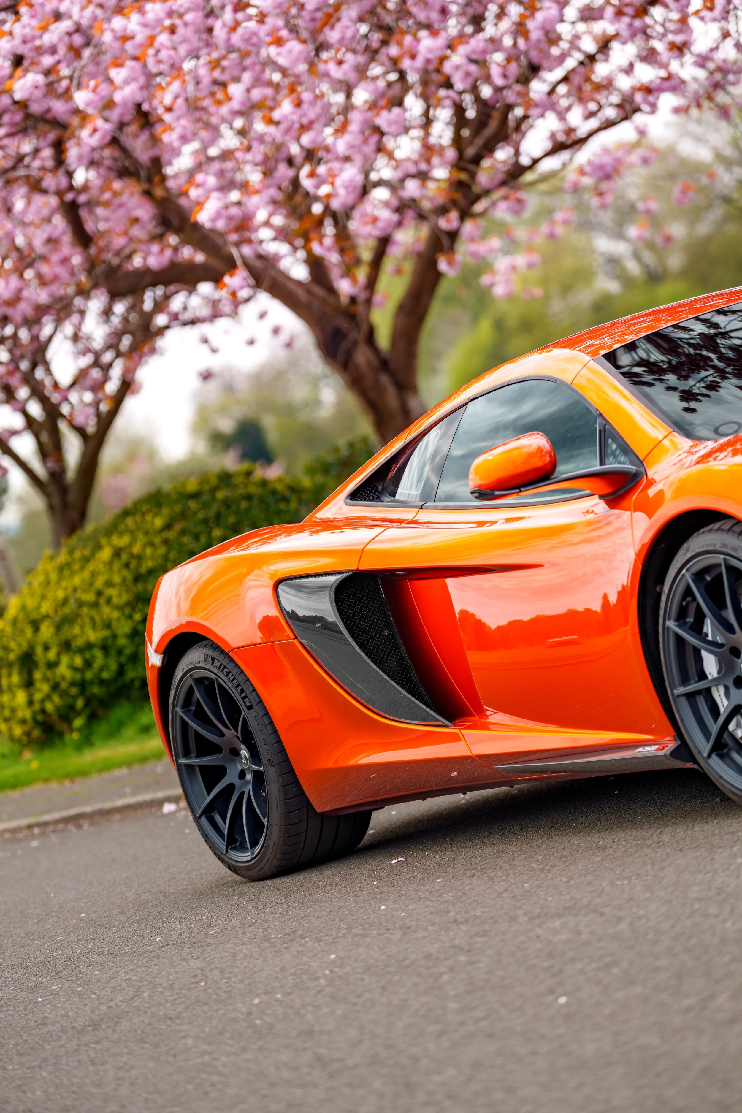 Mclaren_650s_cherry_blossoms_small-27.jpg