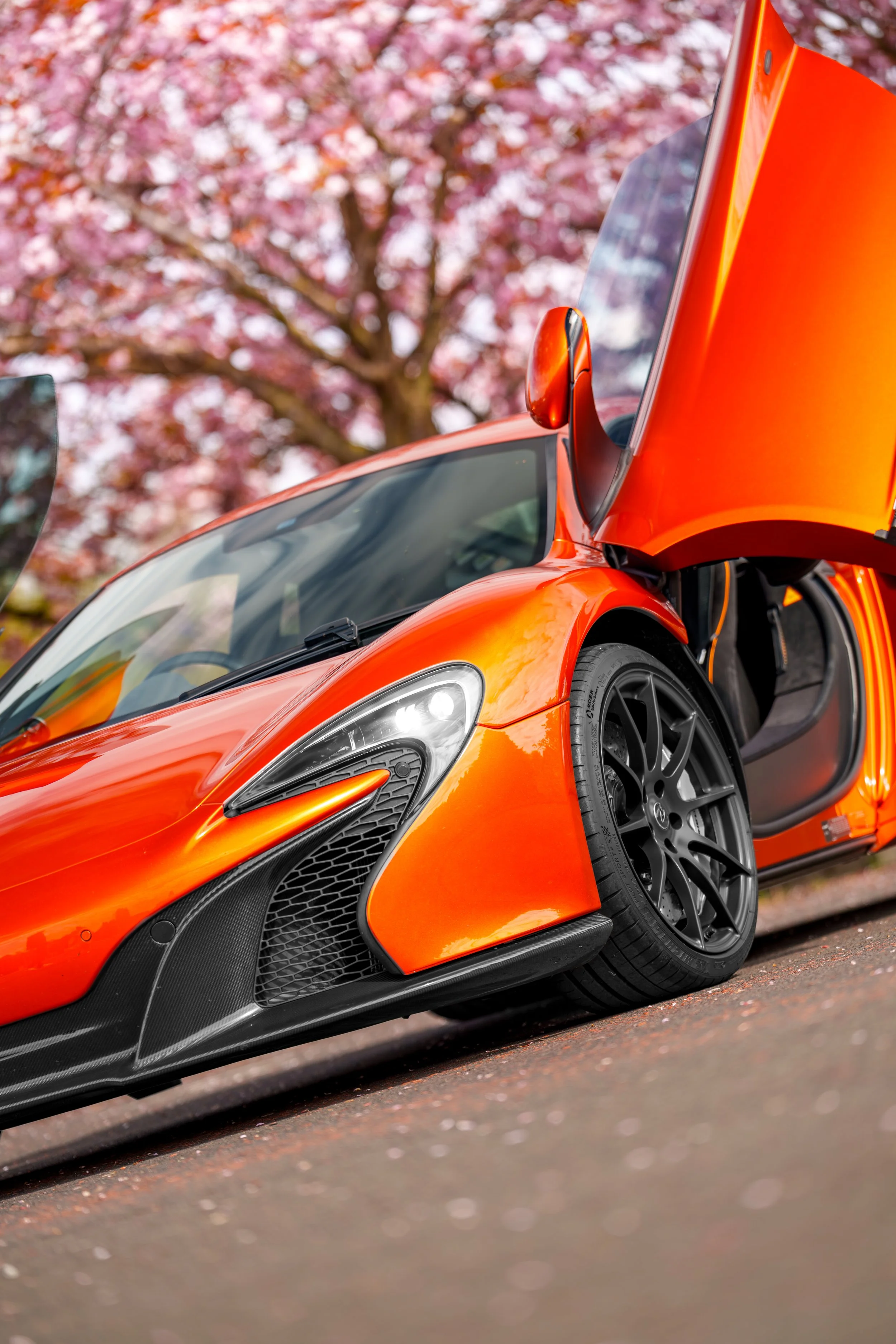 Mclaren_650s_cherry_blossoms_small-4.jpg