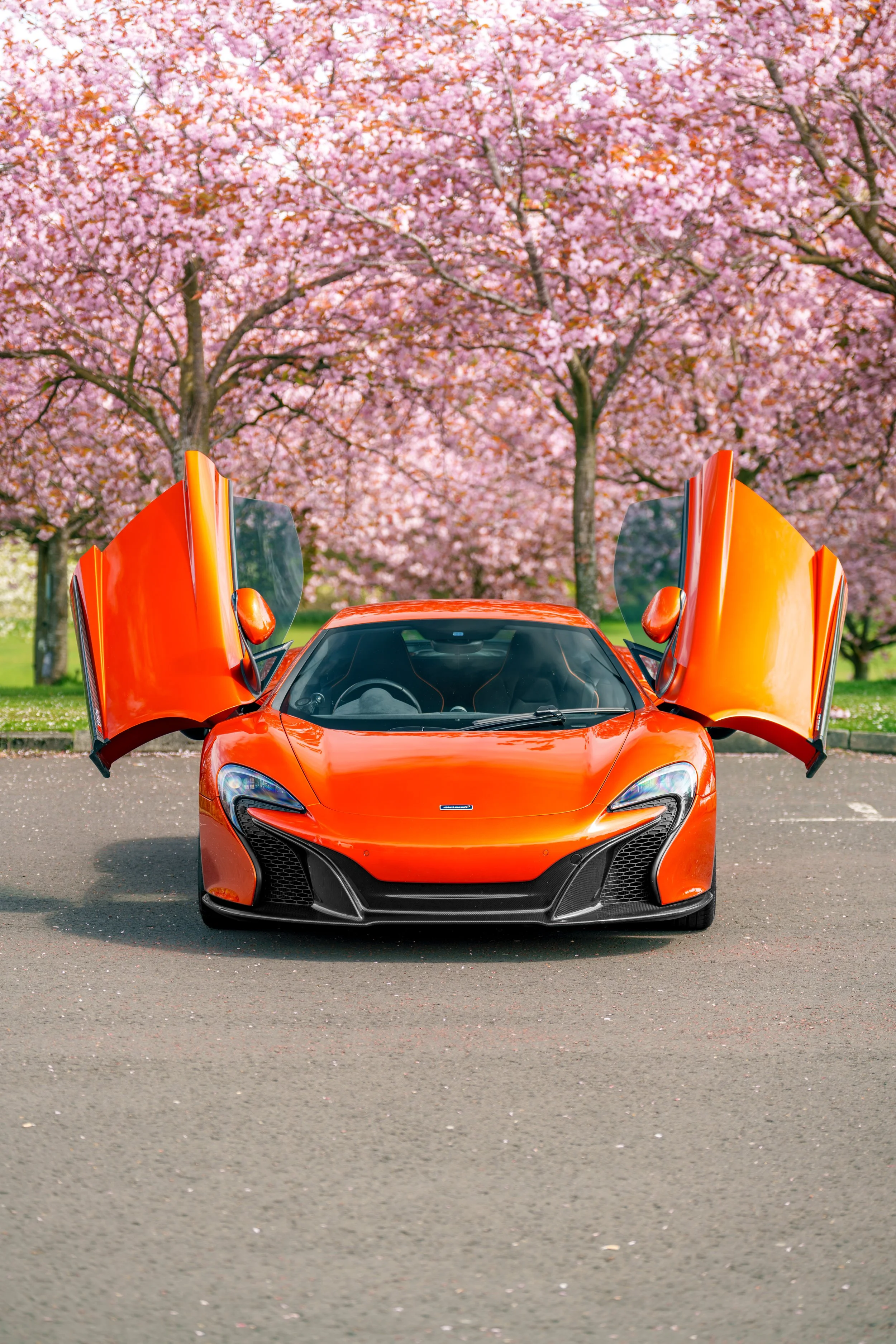 Mclaren_650s_cherry_blossoms_small-9.jpg