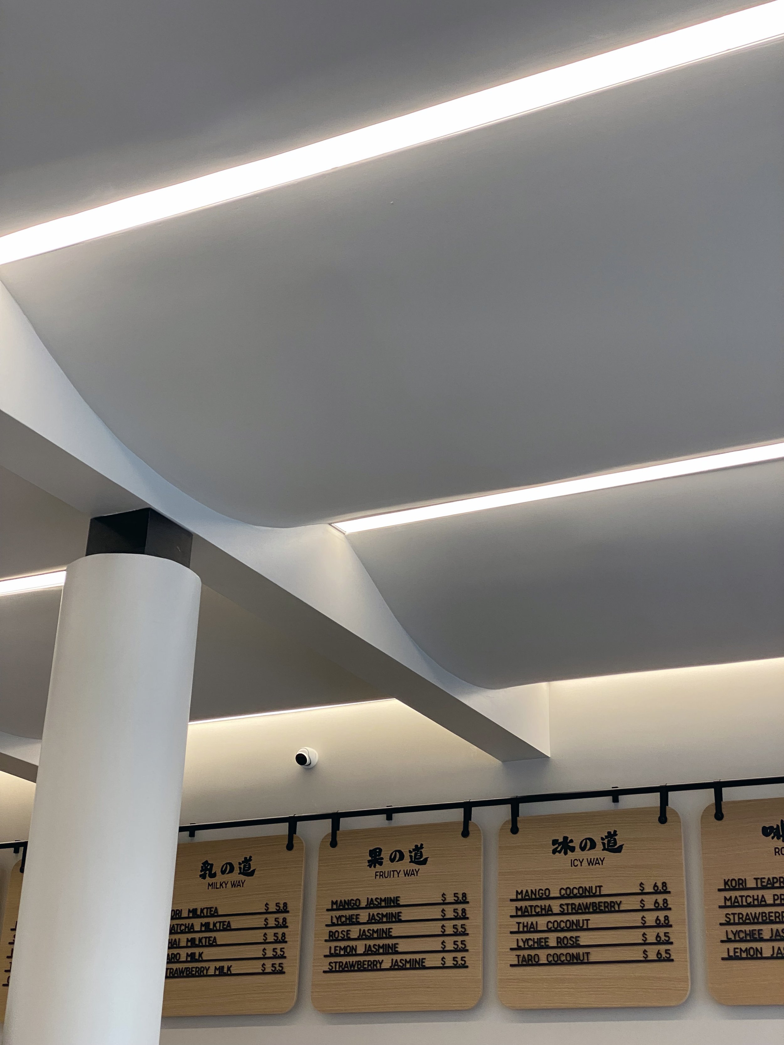 vaulted ceiling detail.jpg