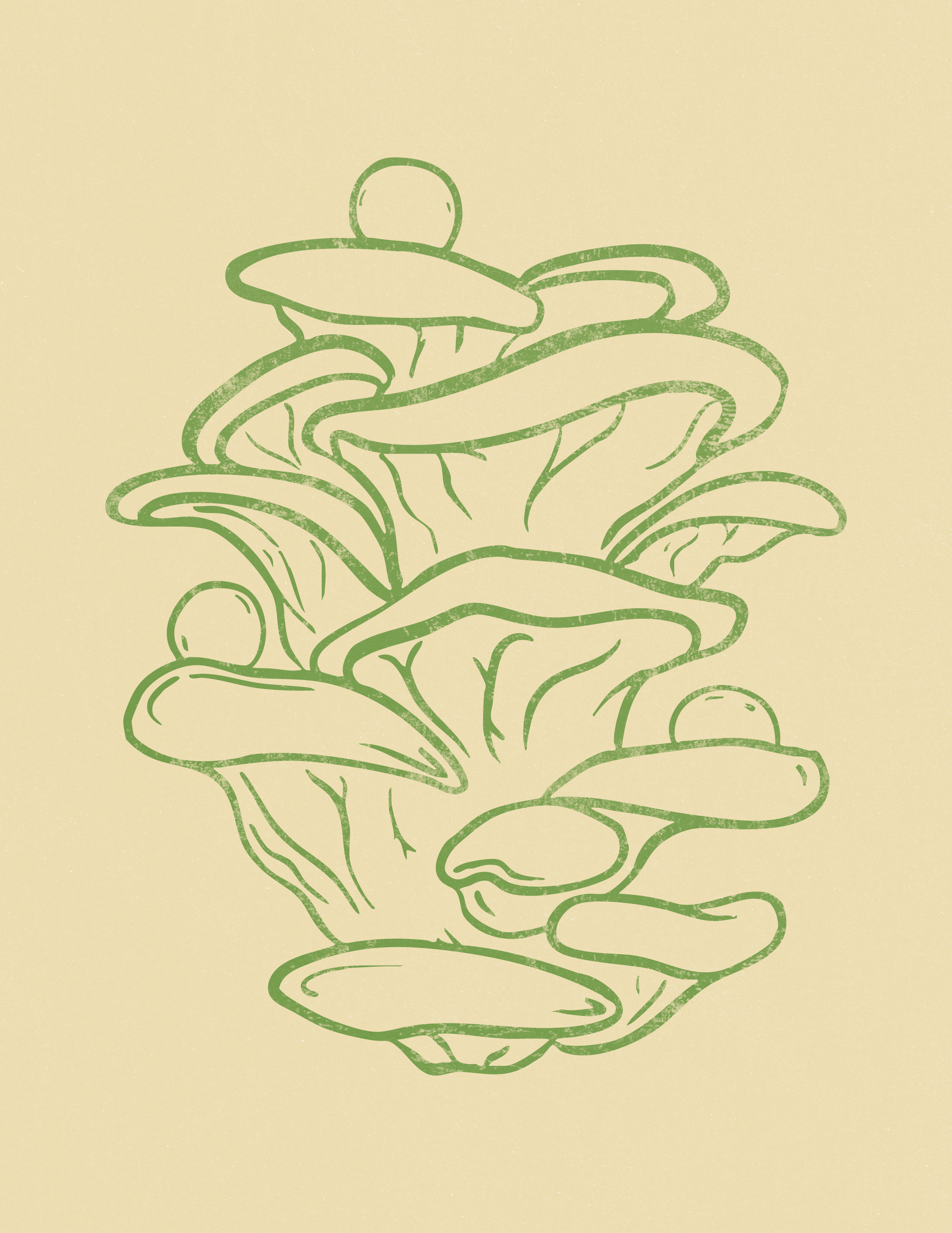 Oyster Mushroom.png