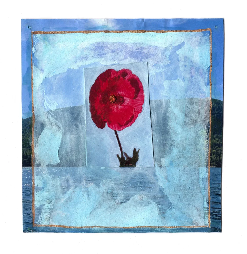 A Poppy for Georgia.jpeg