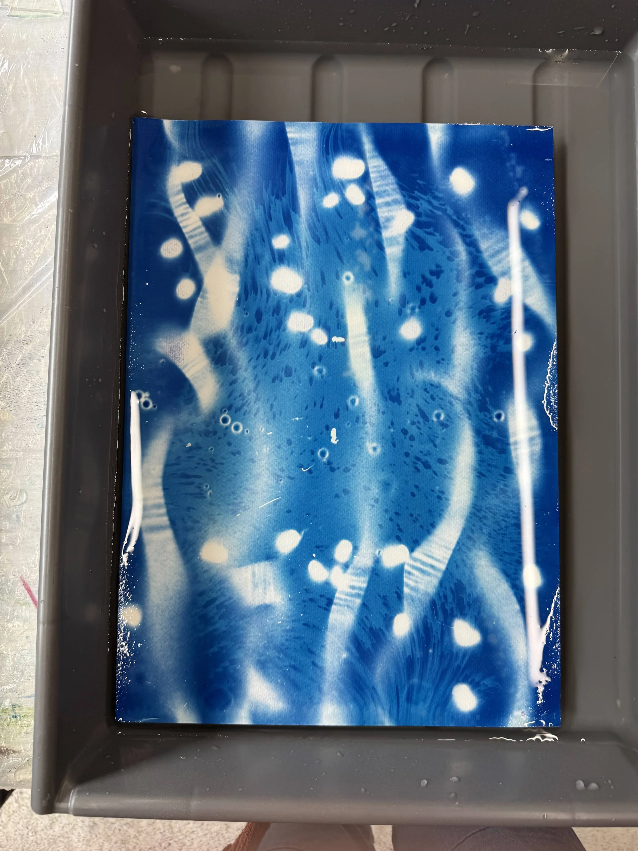 FE2EB3AB-42F0-407C-8FA1-F1206586BCF1 2.JPG