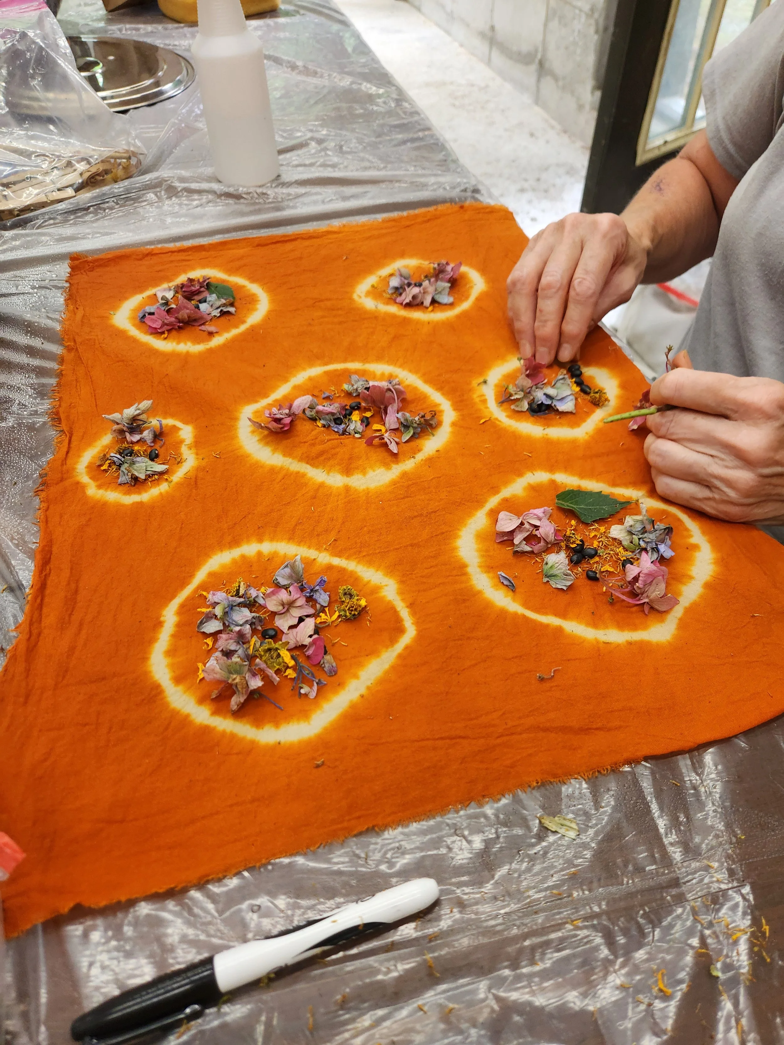 20260728_154055.jpg