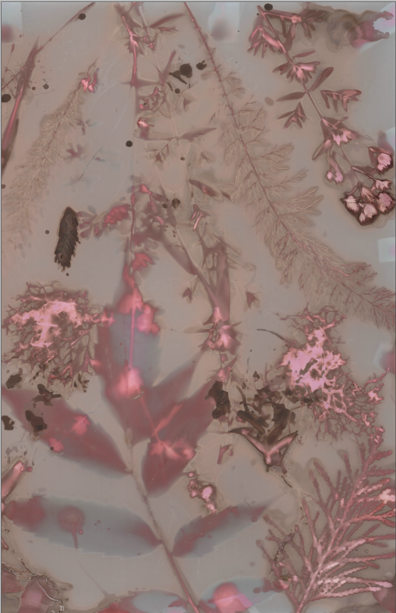 Screenshot 2026-08-18 at 10.12.08 AM.png