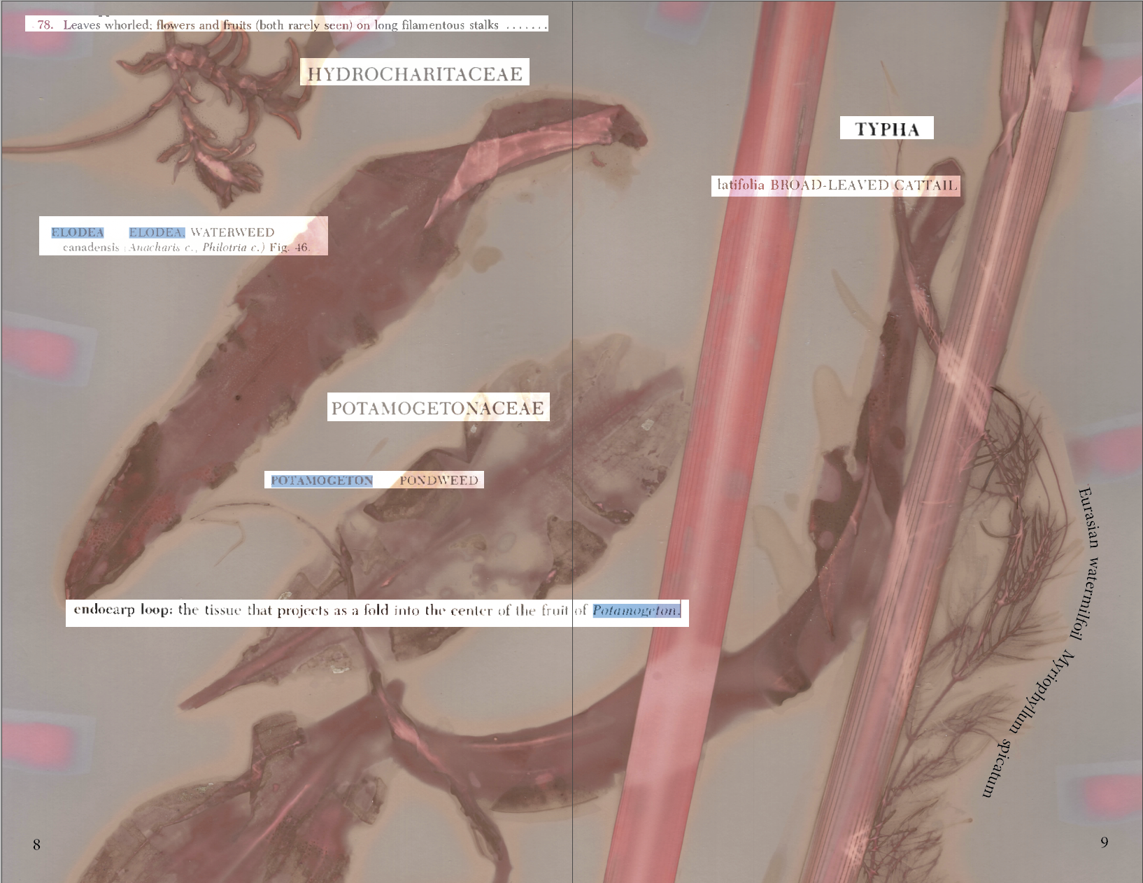 Screenshot 2026-08-18 at 10.12.48 AM.png