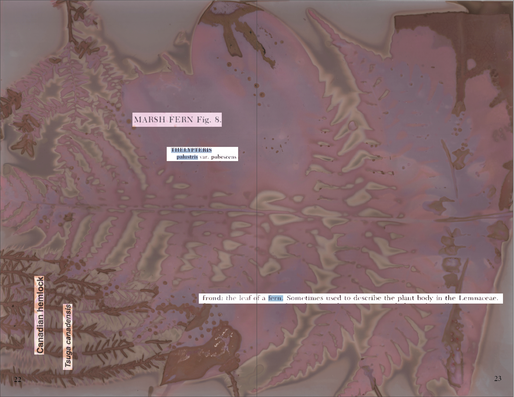 Screenshot 2026-08-18 at 10.13.21 AM.png
